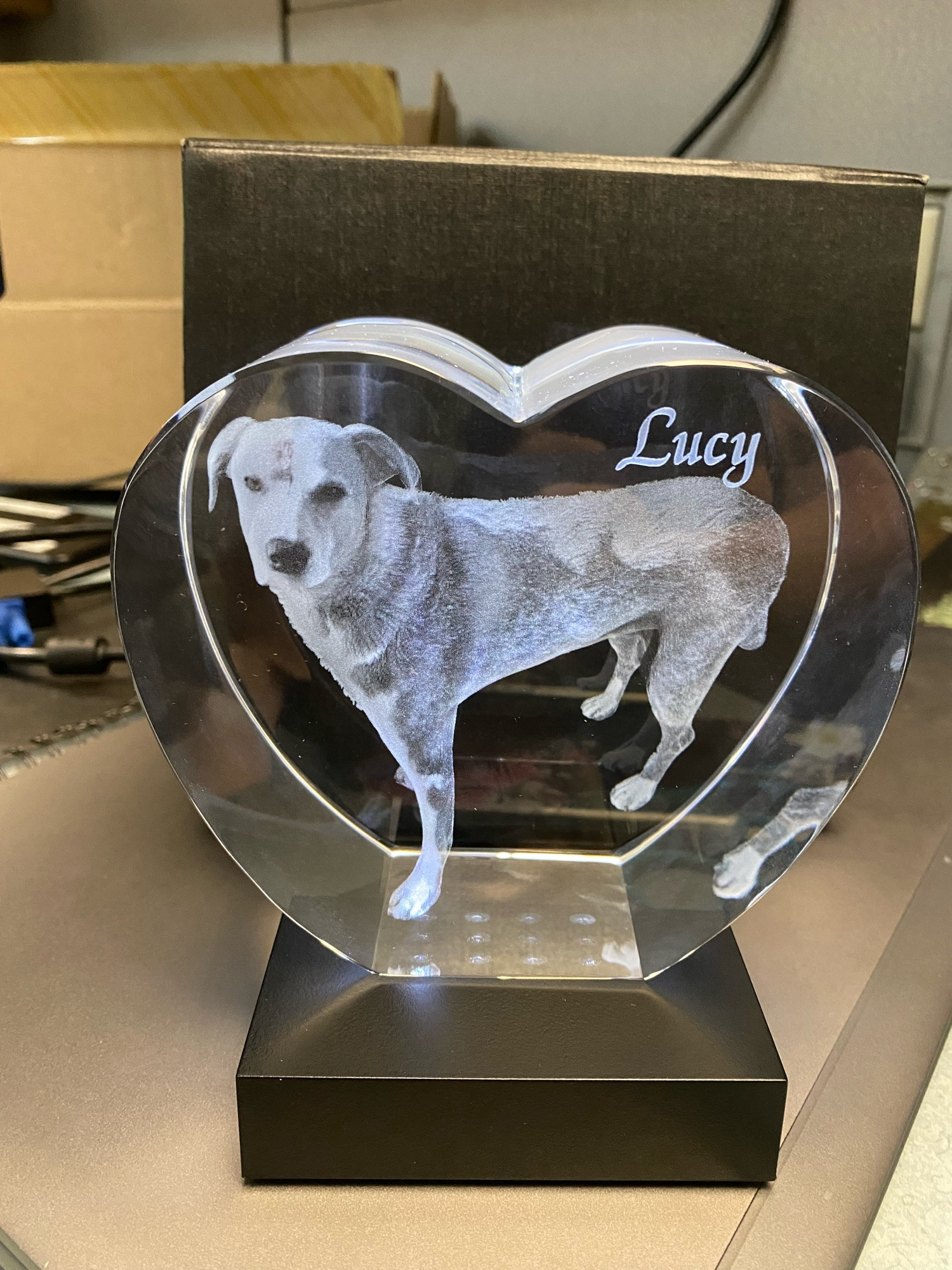 Light up glass etching of Lucy Lou of the Lucyfur clan