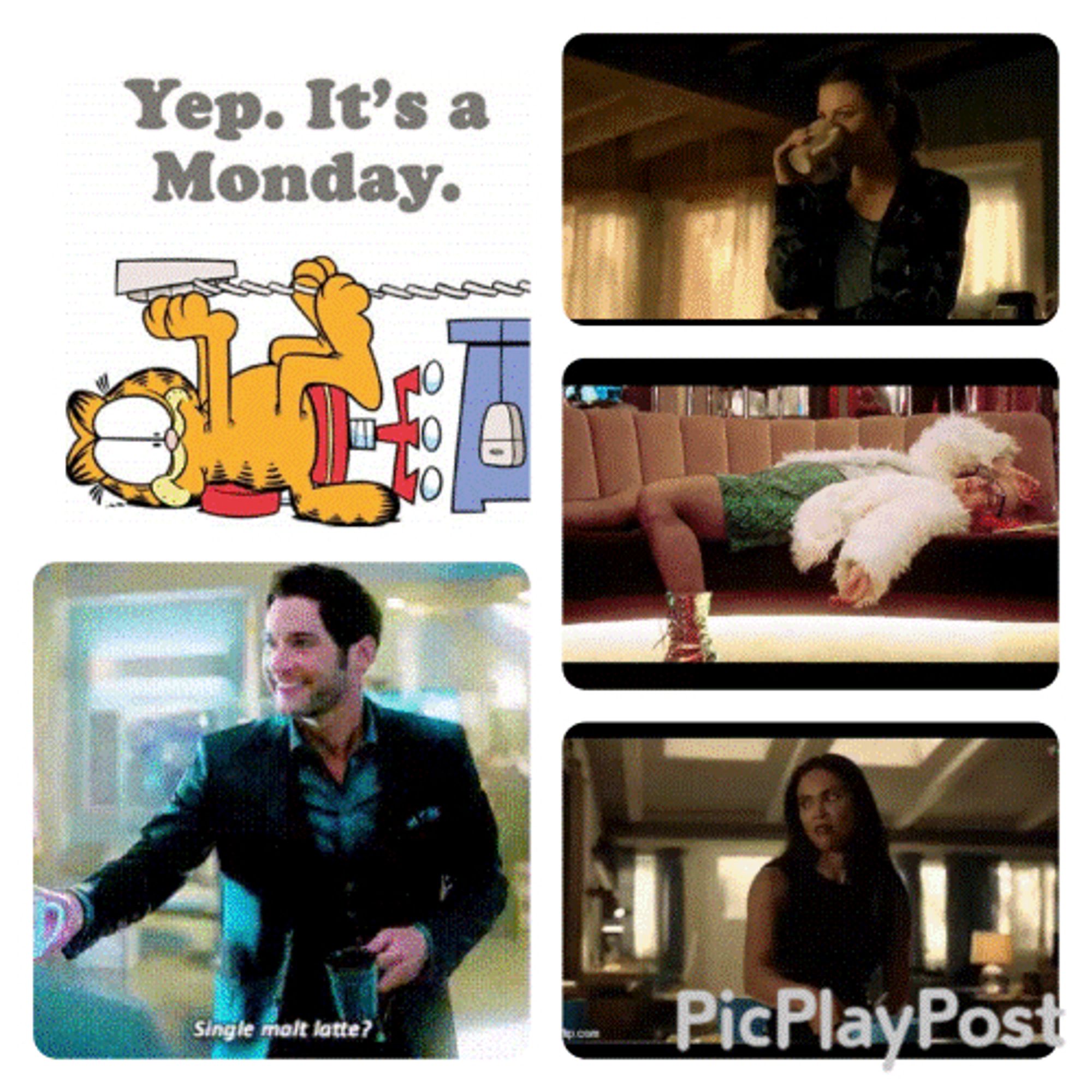 Collage of 5: Garfield lying on the floor; text "Yep, its monday" Tom Ellis as lucifer with two cups of coffee, Lauren German as Chloe with coffee, Rachael Harris as dr. Linda lying on a couch drunk, LesleyAnn Brandt as Maze.