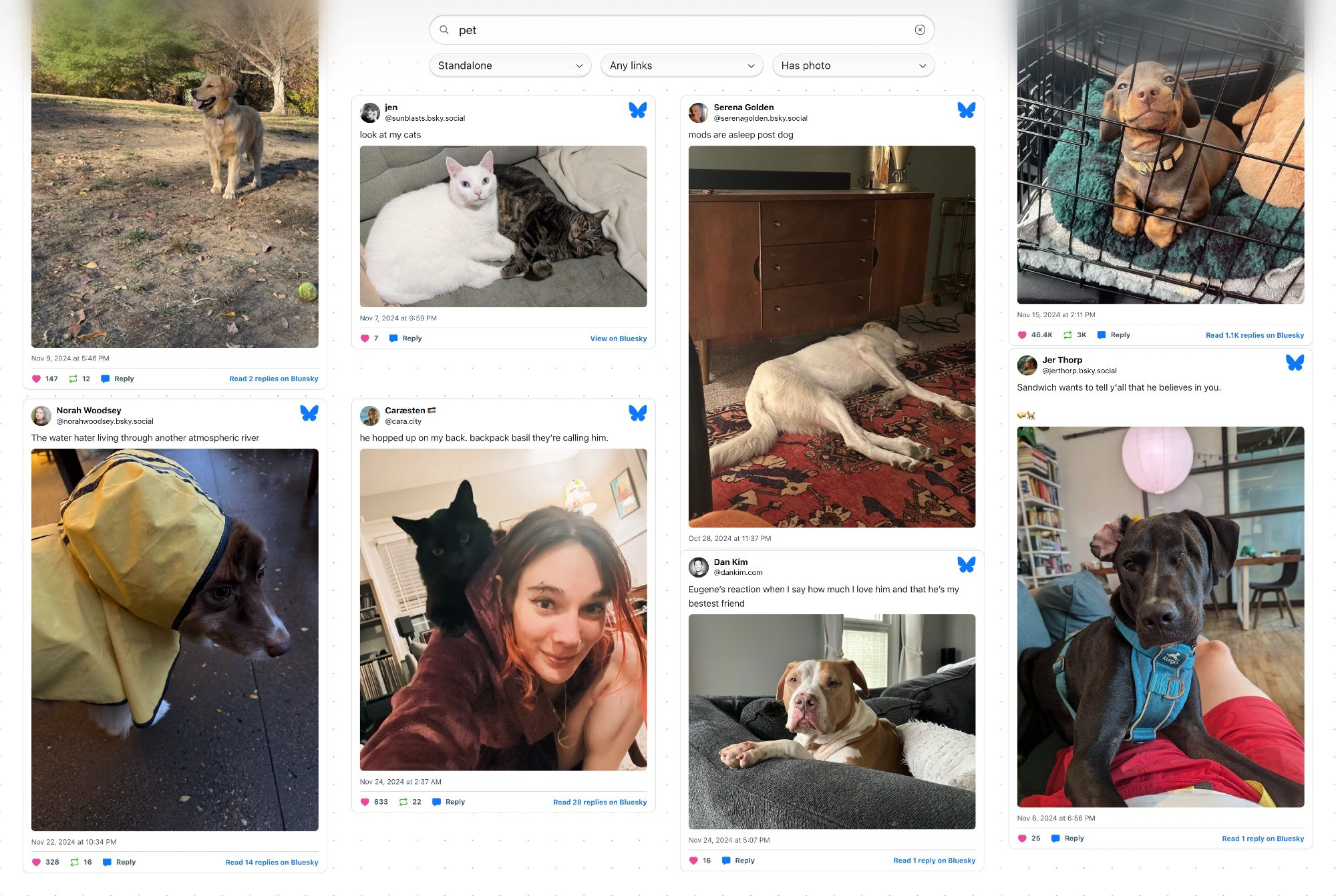 Screenshot of a masonry grid of bluesky posts all showing pet photos, with a search field that says "pet" and a filter for "has photo" enabled