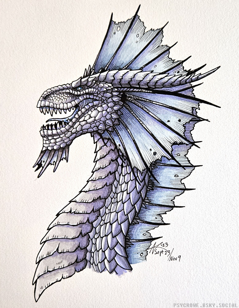 Pen and marker drawing of a silver dragon, based off the dungeons and dragons design, baring its teeth at something.