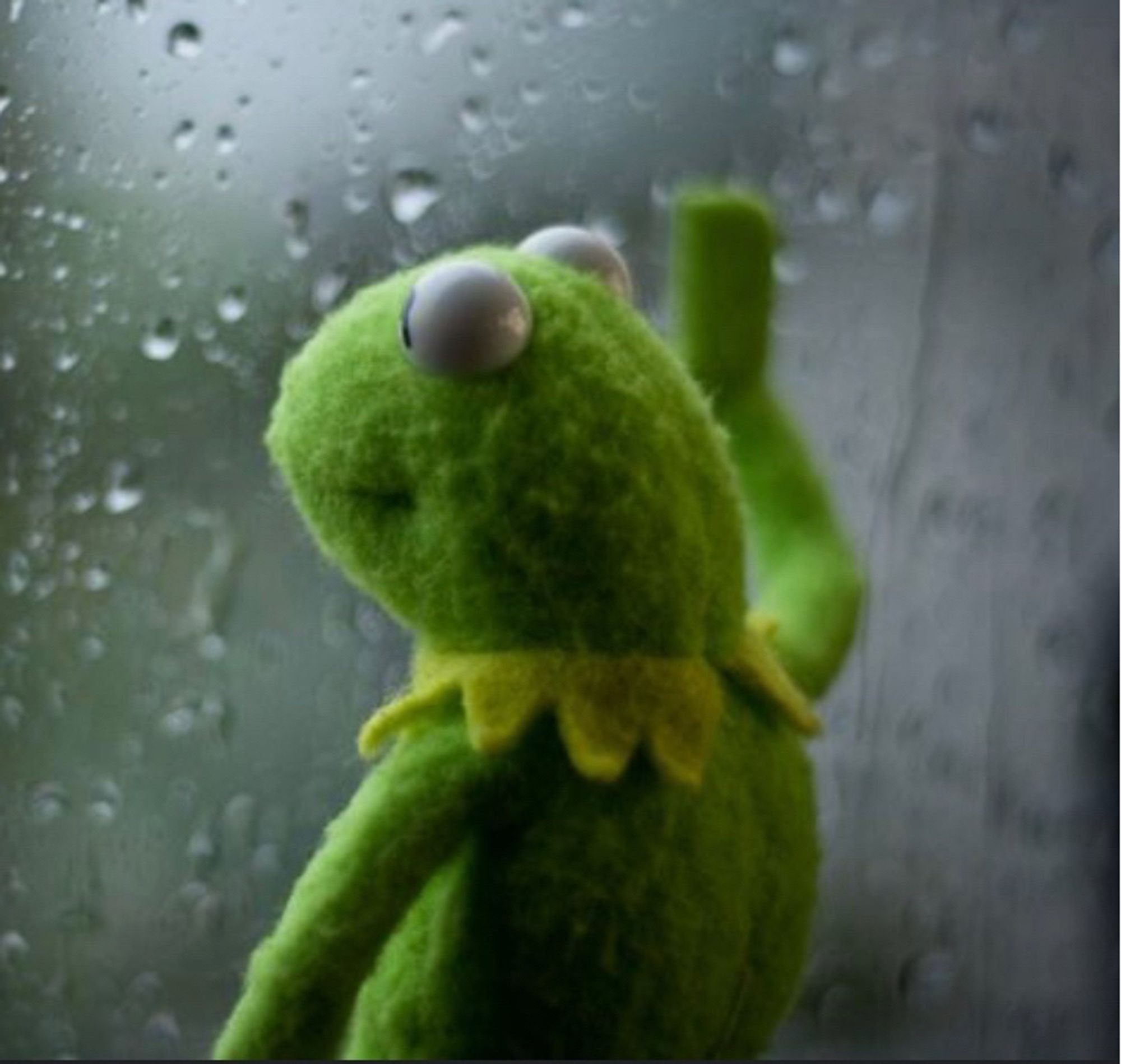 sad kermit stares out the rainy window