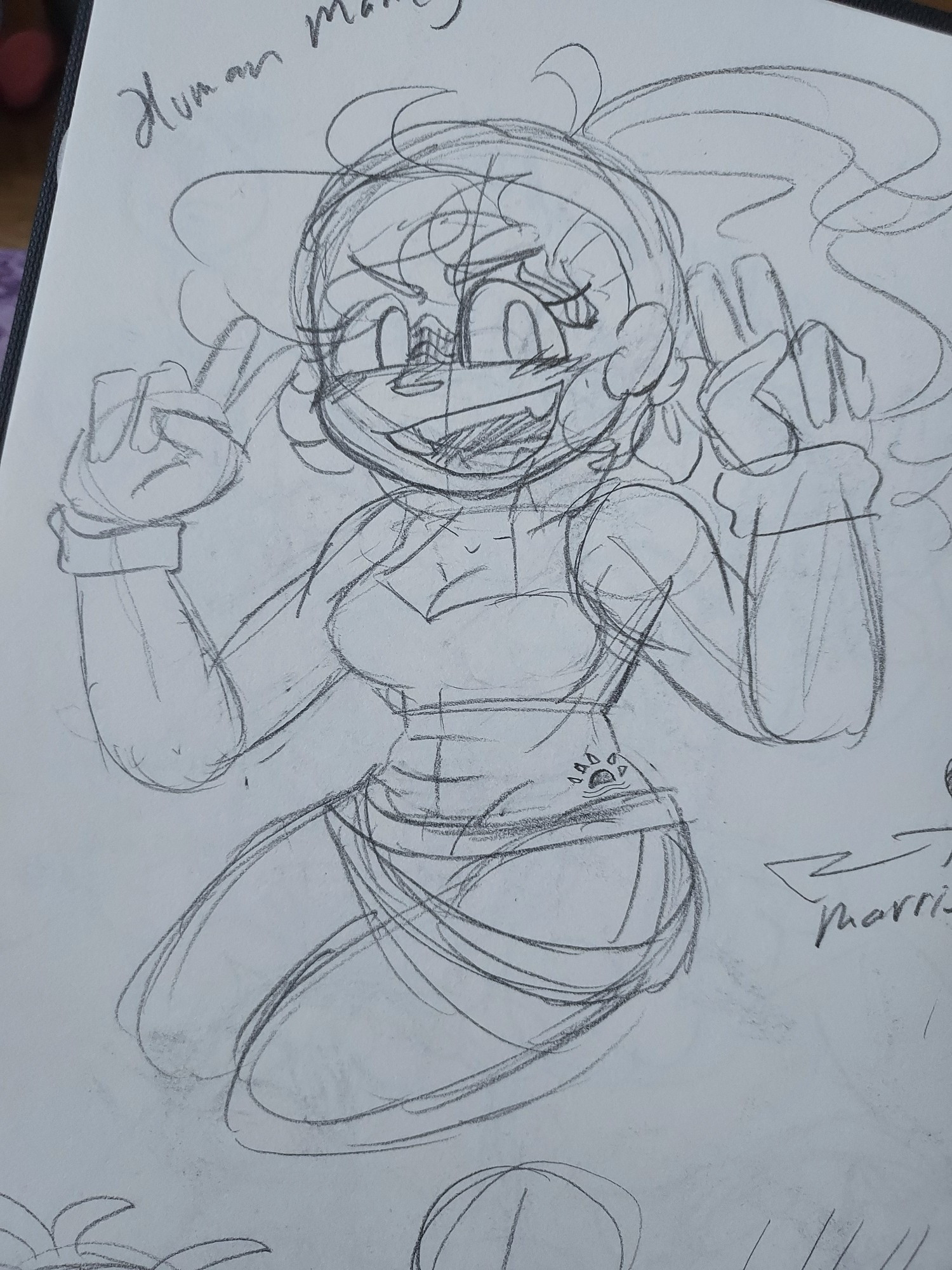 human mandy, bad angle, off screen arrows saying "married" with a cut off sonic being in love