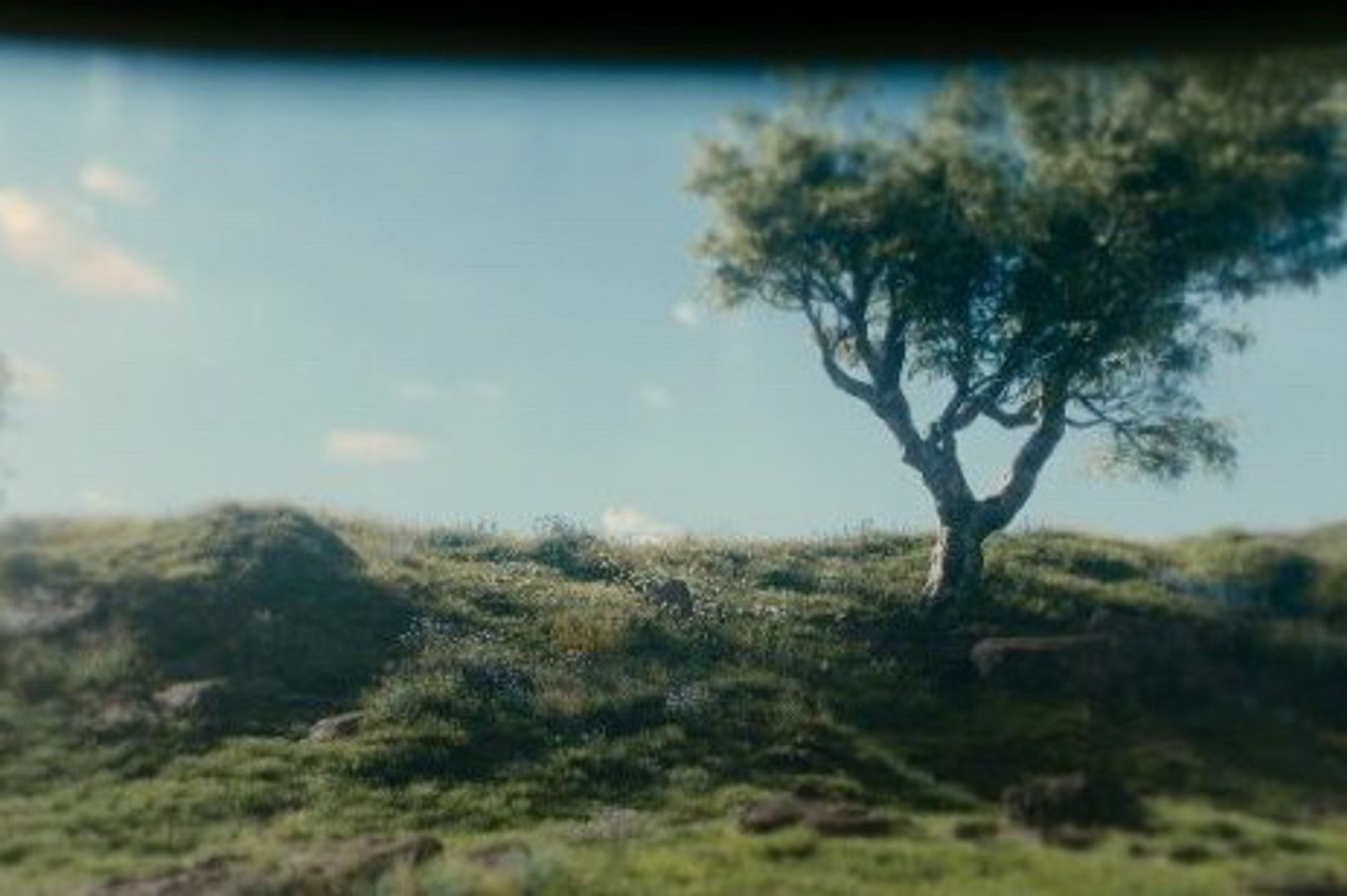 The outside world within the TV series Silo. The landscape is of grass, a blue sky, and a tree off to the right. 