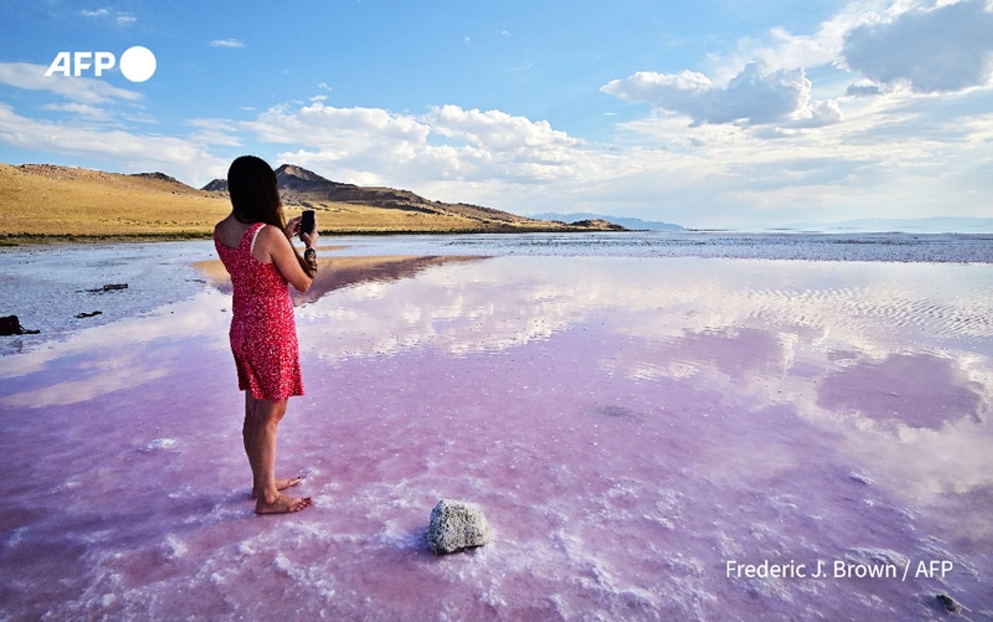 A woman stands barefoot in shallow, pink-hued water at the edge of the Great Salt Lake, Utah. She is wearing a bright red dress with white floral patterns, and her long dark hair flows down her back. In her hands, she holds a smartphone, seemingly capturing the serene landscape around her. The lake reflects a sky filled with soft, white clouds and blue tones, creating a peaceful atmosphere. The surrounding land features gently rolling hills, showing light brown grass and scattered rocks. In the foreground, a small white rock can be seen partially submerged in the water. The overall image conveys a sense of contrast between the vibrant colors of the lake and dress against the more muted earth tones of the landscape, highlighting the natural beauty of this increasingly threatened area.