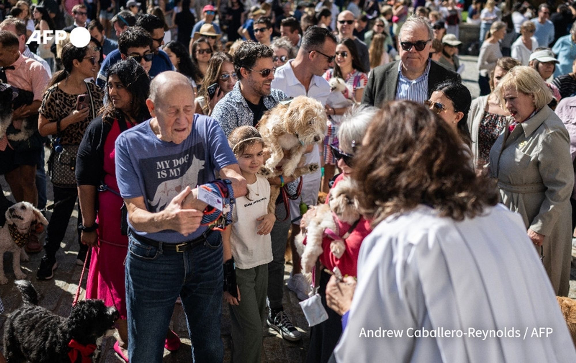 A bustling outdoor scene showing a diverse group of people gathered for the annual "Blessing of the Animals" event outside the Washington National Cathedral in Washington, DC. In the foreground, a man wearing a gray shirt with the phrase "MY DOG IS MY" visible smiles as he holds a colorful leash attached to a small dog. Next to him, a woman with long dark hair holds a small dog, while a young girl beside them looks on with curiosity. Surrounding them are various attendees, including individuals of various ages and backgrounds, some carrying their pets, primarily dogs of different breeds and sizes. The crowd is lively, with many people dressed in casual attire, enjoying the sunny day. The impressive stone façade of the Washington National Cathedral looms in the background, adorned with intricate architectural details. The atmosphere is festive and filled with excitement as animals are blessed in honor of Saint Francis of Assisi, the patron saint of animals and the environment.