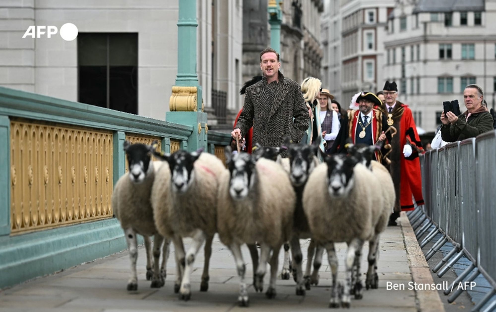 A man with short blonde hair, dressed in a stylish, dark fur coat, confidently leads a small herd of sheep across a historic bridge over the River Thames. The sheep, predominantly white with black faces and feet, move closely together as they follow him. In the background, the bridge's ornate green and gold railings are visible alongside a bustling cityscape, featuring traditional architecture typical of London. Several individuals are visible in the background, including a man wearing an elaborate historical outfit and a top hat, indicating a ceremonial occasion. Another person nearby is taking a photo with a smartphone. The scene captures the blend of modern and medieval traditions, highlighting the unique event where Freeman of the City of London status is being celebrated.