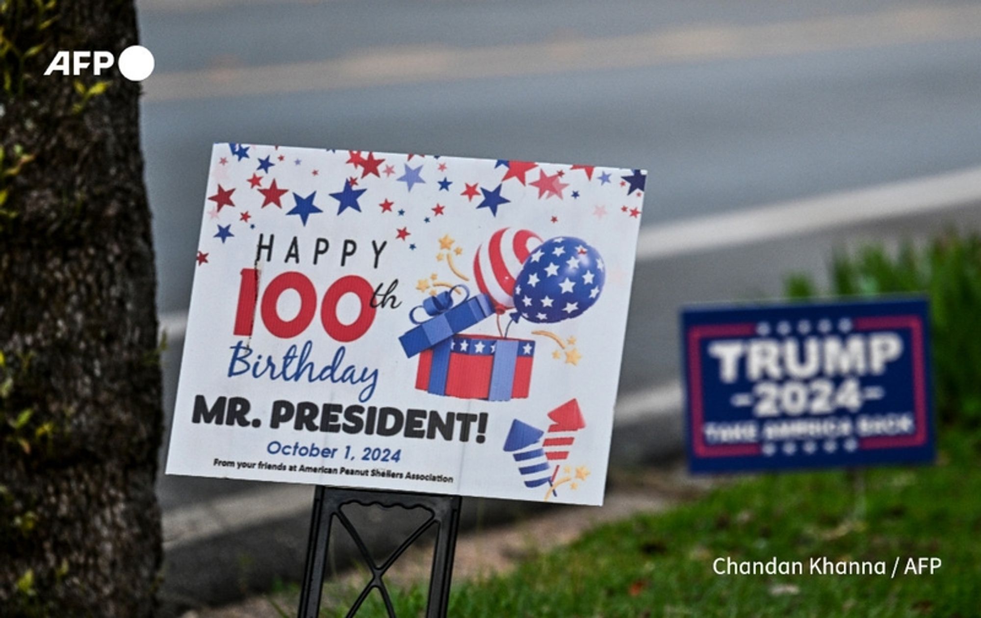 A lawn sign celebrating the upcoming 100th birthday of Jimmy Carter, the 39th President of the United States. The sign features a colorful design with red, white, and blue stars, stripes, and balloons. The prominent text reads, "HAPPY 100th Birthday MR. PRESIDENT!" Below this message, the date "October 1, 2024" is noted, along with the phrase "from your friends at American Peanut Shellers Association." The sign is displayed on a grassy area next to a road, with a blurred background revealing more greenery and a glimpse of another political sign for a 2024 campaign.