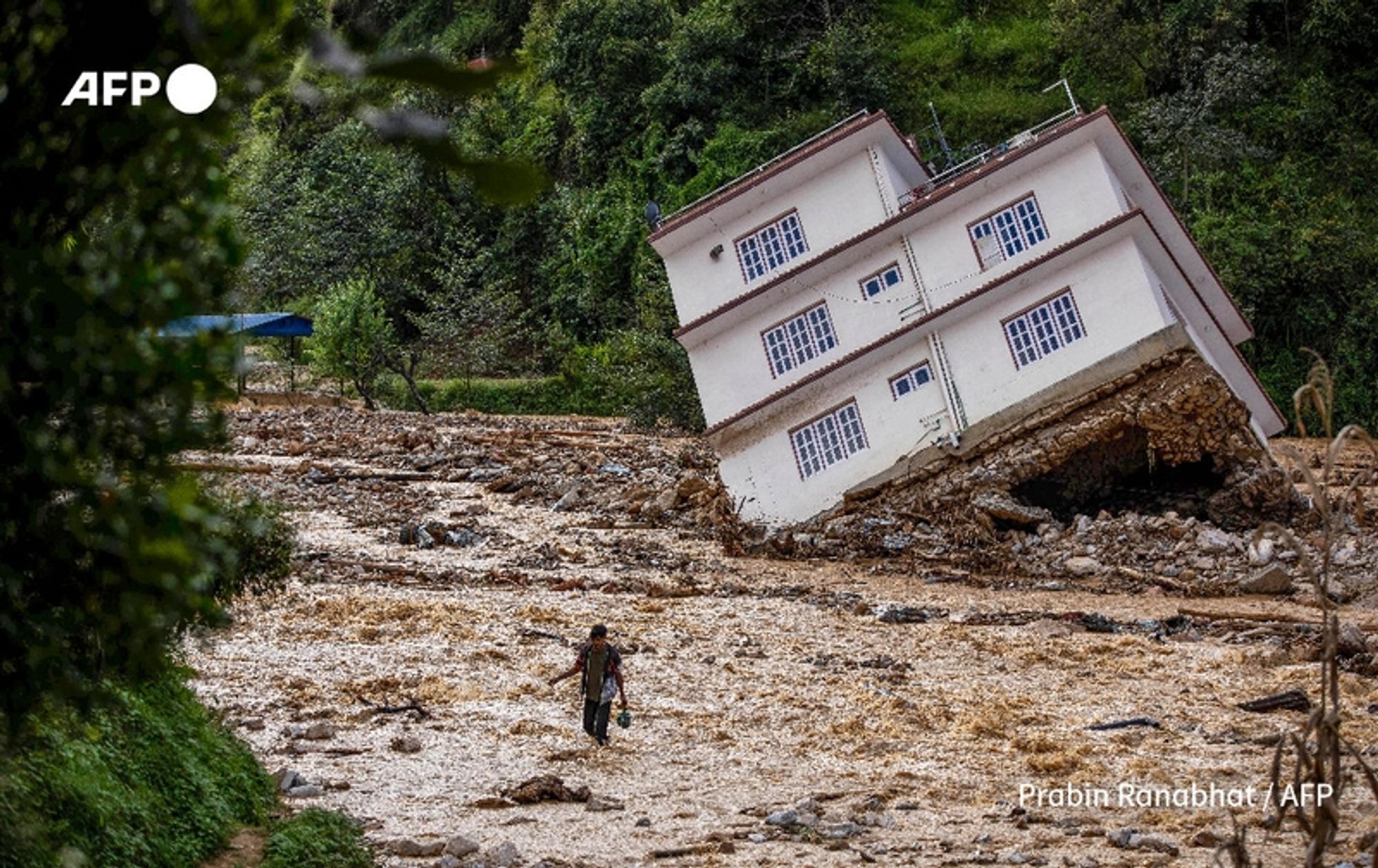 A scene depicting the aftermath of severe monsoon floods in Nepal. In the foreground, a person is seen walking along a path covered with debris and waterlogged soil, carrying a small green container. The individual, dressed in dark clothing, appears to be navigating through the wreckage. In the background, a house is tilted precariously on its side, exhibiting structural damage, with parts of its foundation visibly undermined. Surrounding vegetation is lush, contrasting with the destruction nearby. The overall atmosphere conveys a sense of loss and devastation, highlighting the challenges faced by search and rescue teams in the aftermath of the flooding that has claimed numerous lives.