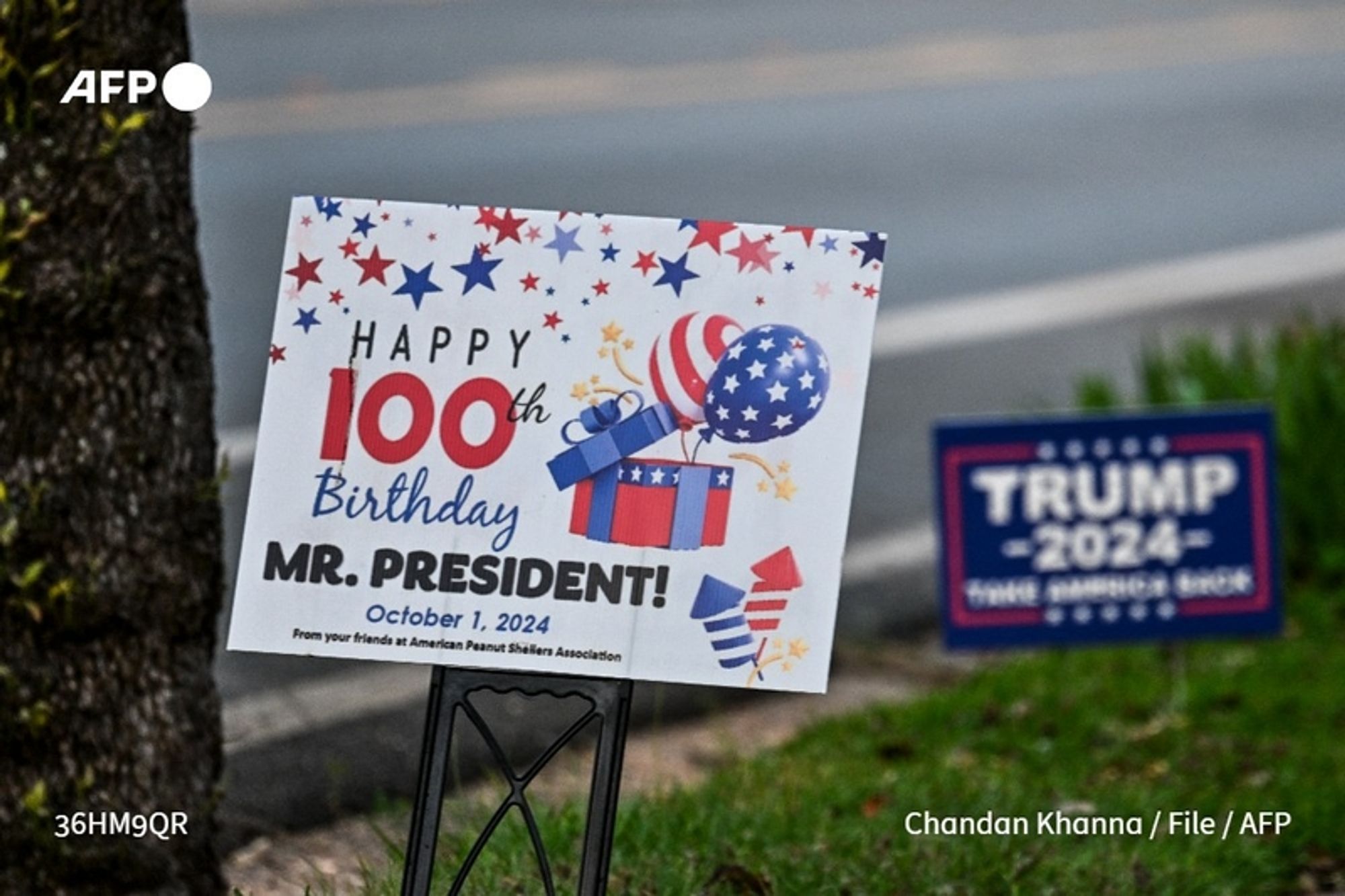 A colorful yard sign is prominently displayed, celebrating the 100th birthday of Jimmy Carter, the first U.S. president to reach this milestone. The sign features vibrant decorations including red, white, and blue balloons, stars, and gift boxes amidst a festive background. The text reads, "HAPPY 100th Birthday MR. PRESIDENT!" in a bold, celebratory font. Below the main greeting, the date "October 1, 2024" is noted, with the message "From your friends at American Peanut Shelters Association" at the bottom. In the background, a smaller sign is partially visible, promoting "TRUMP 2024." The setting appears to be outdoors, likely in a residential area, with a road in the backdrop and green grass surrounding the signage.