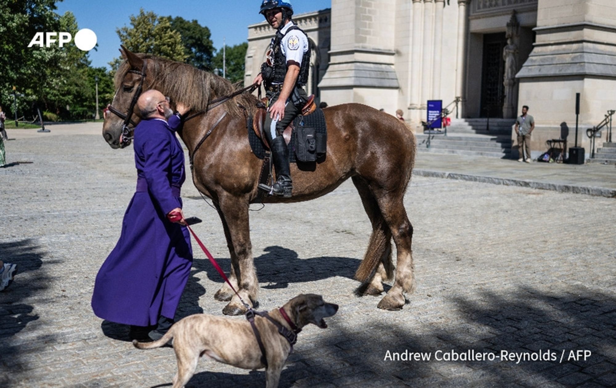 A priest in a purple robe bends down to bless a small, light-colored dog on a leash. The dog appears attentive, looking up at the priest. Nearby, a police officer on horseback watches the interaction, the horse being large and brown. The backdrop features the imposing structure of the Washington National Cathedral, surrounded by a green landscape under a clear blue sky. Other individuals can be seen in the background, enjoying the event. The scene captures a moment from the annual "Blessing of the Animals" event, which honors the feast day of Saint Francis of Assisi.