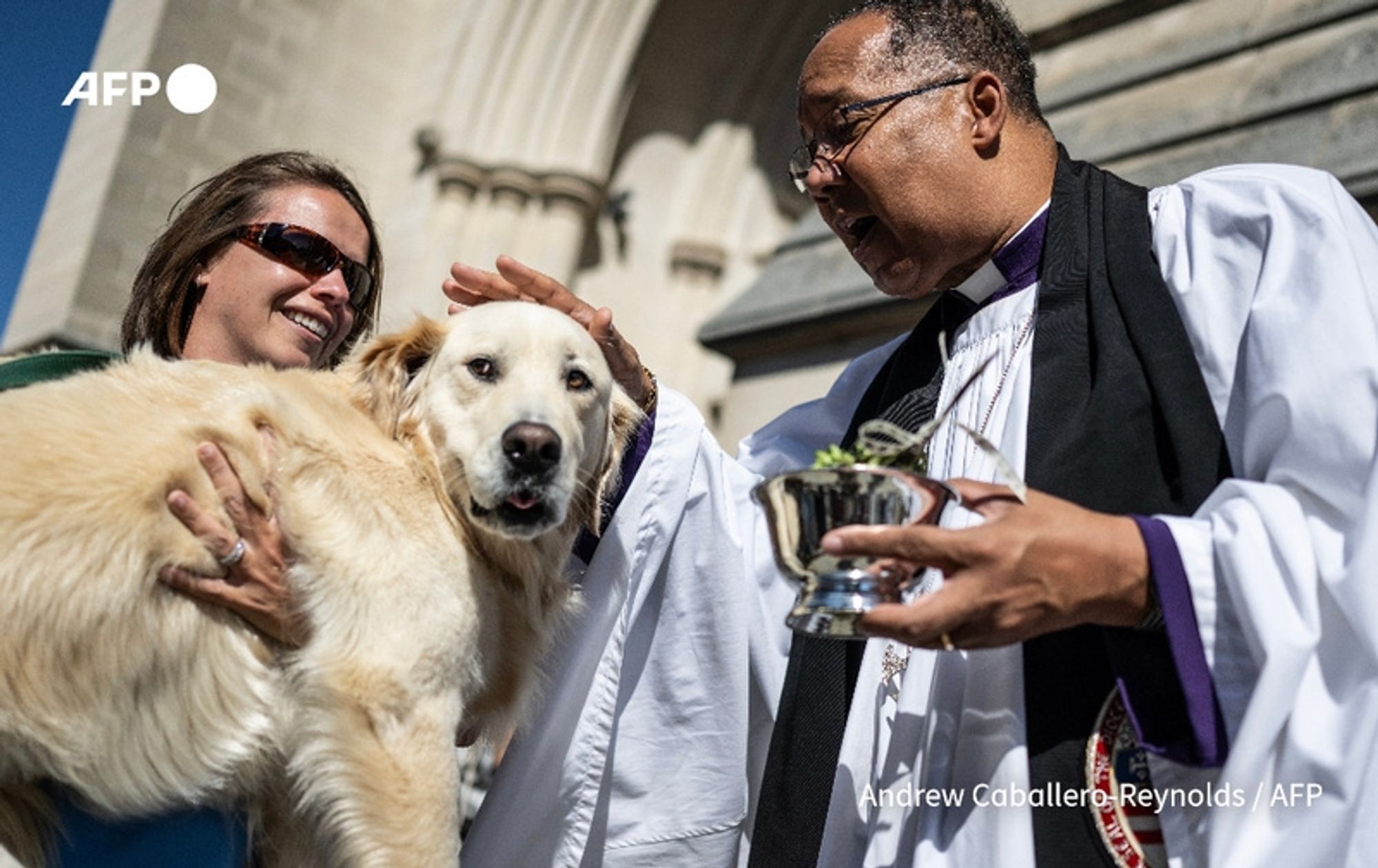 A close-up scene at the annual "Blessing of the Animals" event outside the Washington National Cathedral in Washington, DC. In the foreground, a woman with long brown hair, wearing sunglasses and a green jacket, holds a golden retriever in her arms. The dog appears gentle and is looking towards the camera. Beside her, a priest in clerical white robes with a black cape, and a purple stole, gently places his hand on the dog's head. He holds a small silver bowl filled with what appears to be water or blessable oil, suggesting a ceremonial blessing. The background features the stone architecture of the cathedral, with the sun casting a warm light over the scene, indicating a festive atmosphere honoring animals and Saint Francis of Assisi.