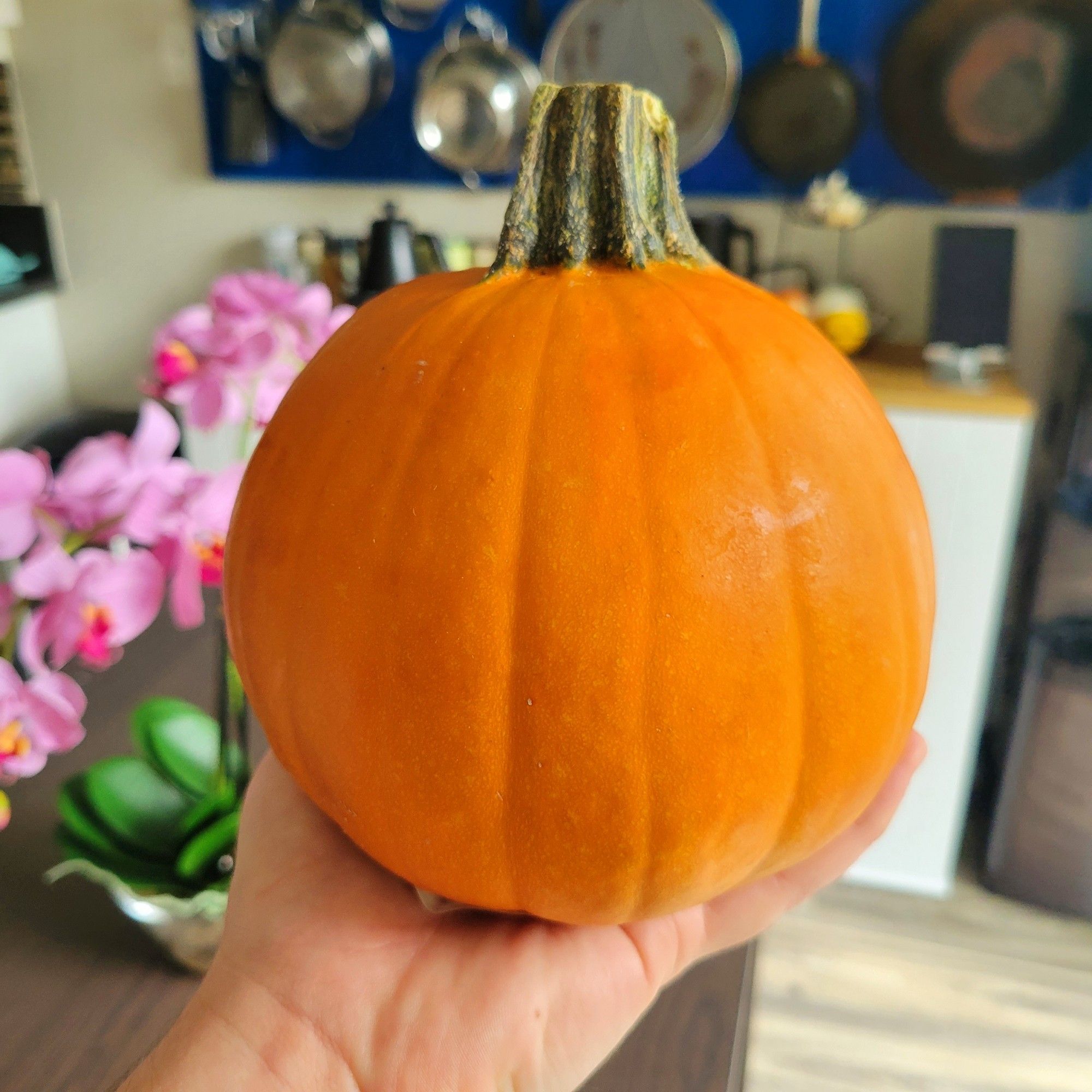 Single hand holding a small orange pumpkin. In the background is an out of focus kitchen.