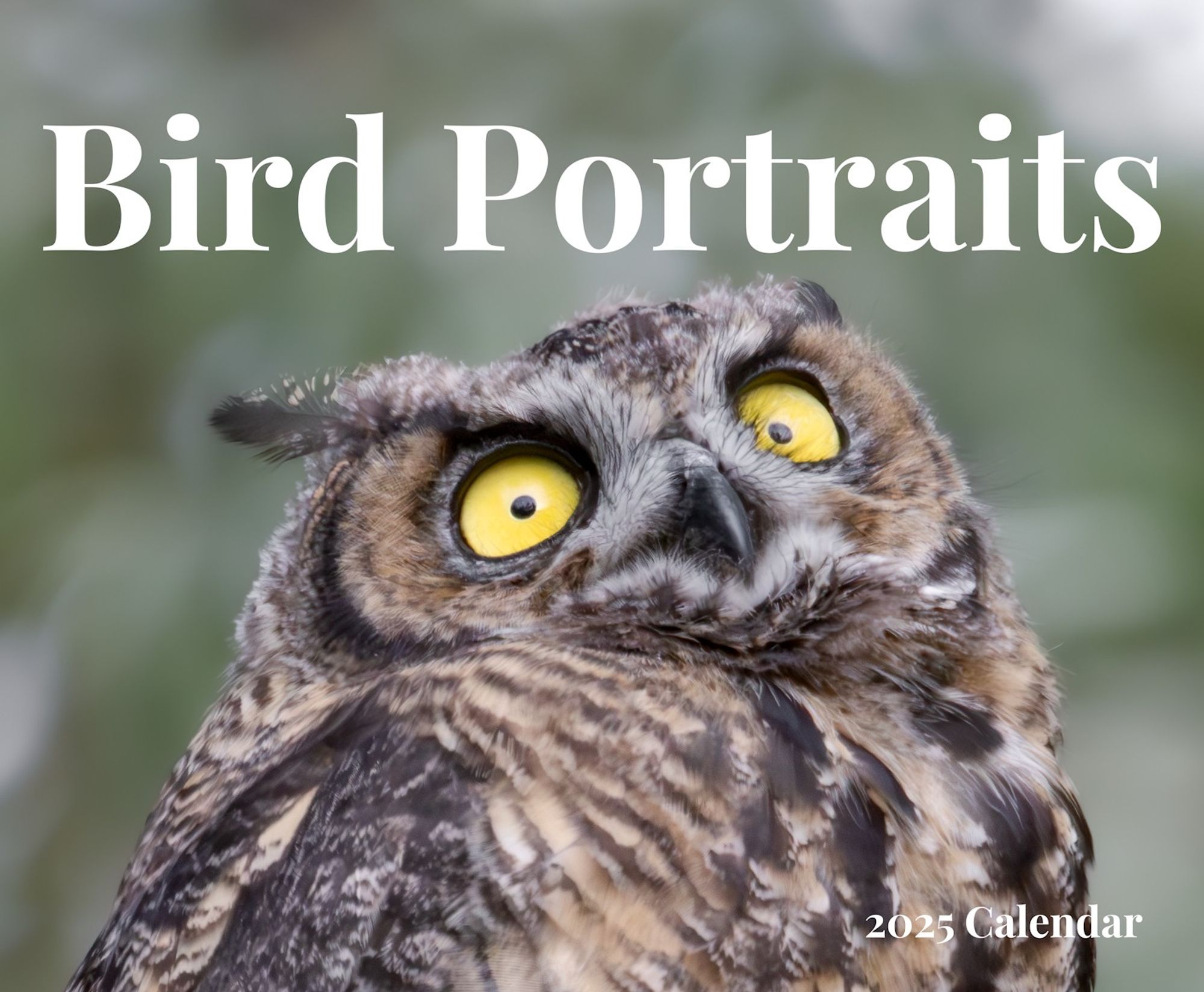 The Bird Portraits 2025 Calendar cover, featuring a wide-eyed young great horned owl.