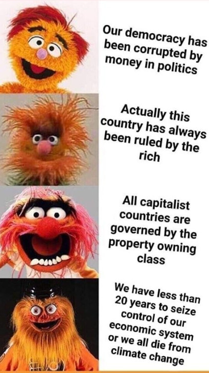 A meme showing four orange/red Muppet/puppet characters with text next to each one. I don't know the identity of the first two, sorry! 

First - a neatly groomed character with big eyes and a half open mouth. Text - "Our democracy has been corrupted by money in politics."

Second - a fluffier character with untidy hair and beard. 
Text - "Actually this country has always been ruled by the rich."

Third - Animal from the Muppets. 
Text - "All capitalist countries are governed by the property owning class." 

Fourth - Gritty, the mascot character.
Text - "We have less than 20 years to seize control of our economic system or we all die from climate change."