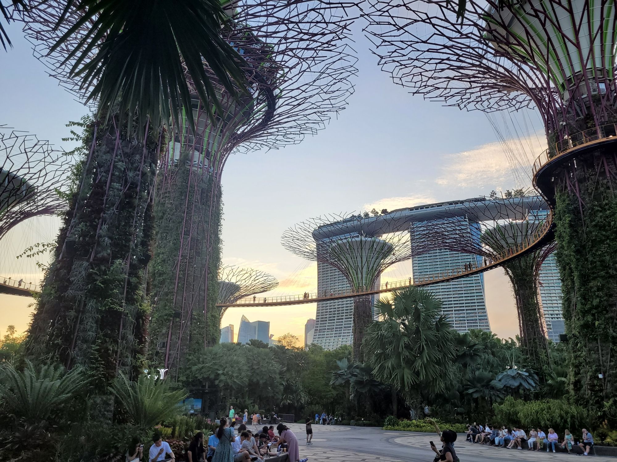 A picture of the super trees in Singapore with the Marina Bay Sands building in the background.