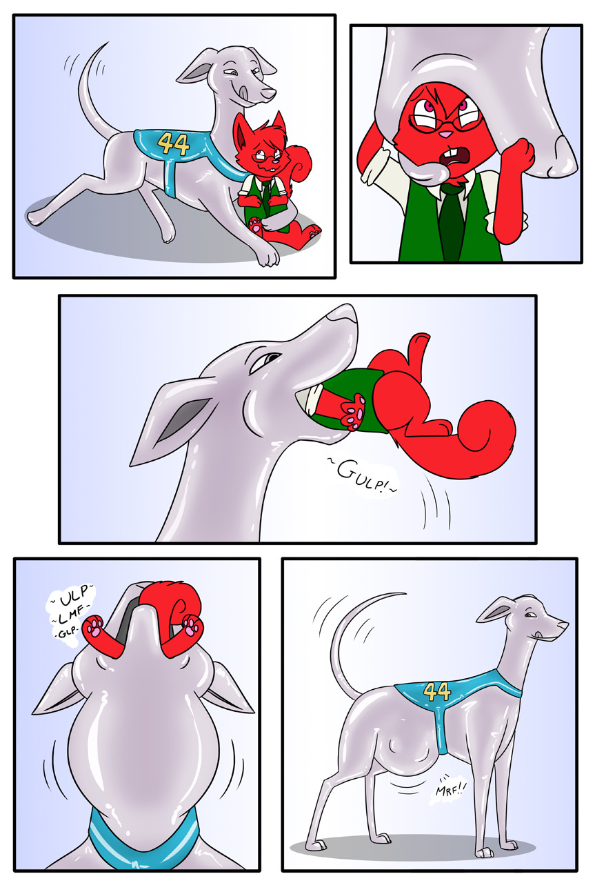 A comic in which a rather dapper anthro red squirrel gets gulped down by a quicksilver greyhound