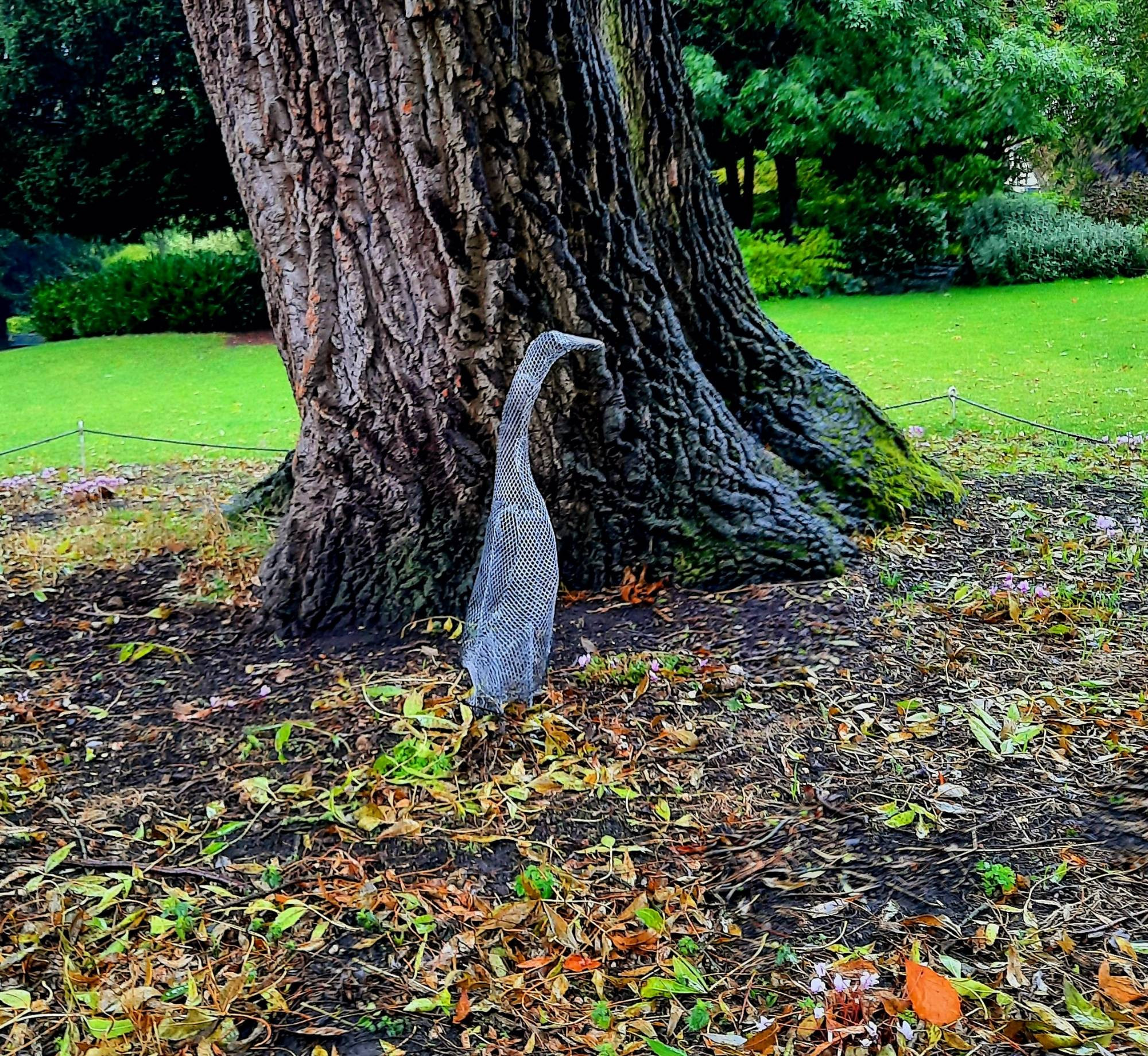 Wire 'Ghost' sculpture of famous York duck Longboi in front of a large tree trunk with autumn leaves on the ground.