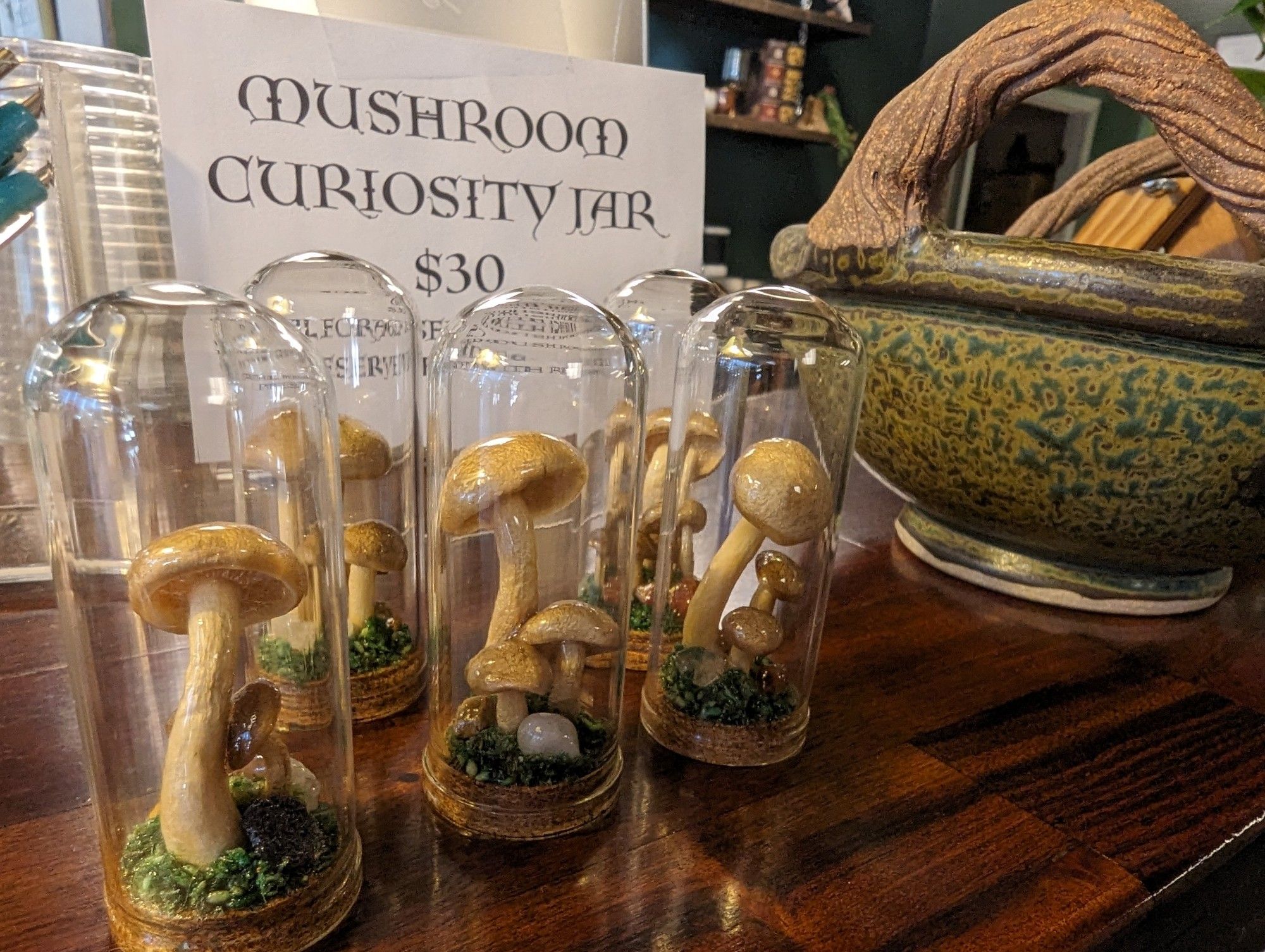 Mushroom curiosity jar