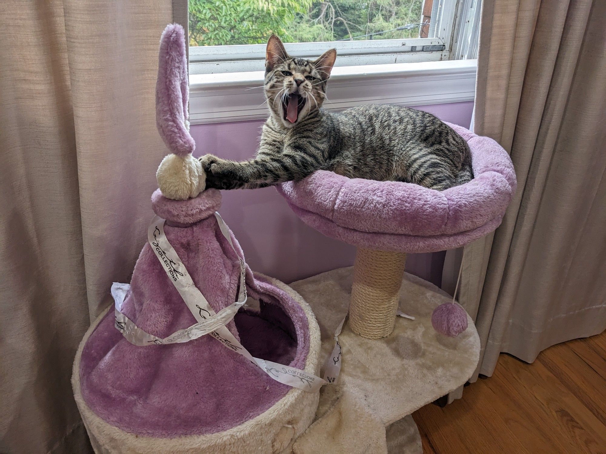 A grey tabby kitten lounging on a purple and beige cat tower that looks like a princess castle, yawning wide and resting his paw on the 'roof' of the castle, right below a felt purple flag