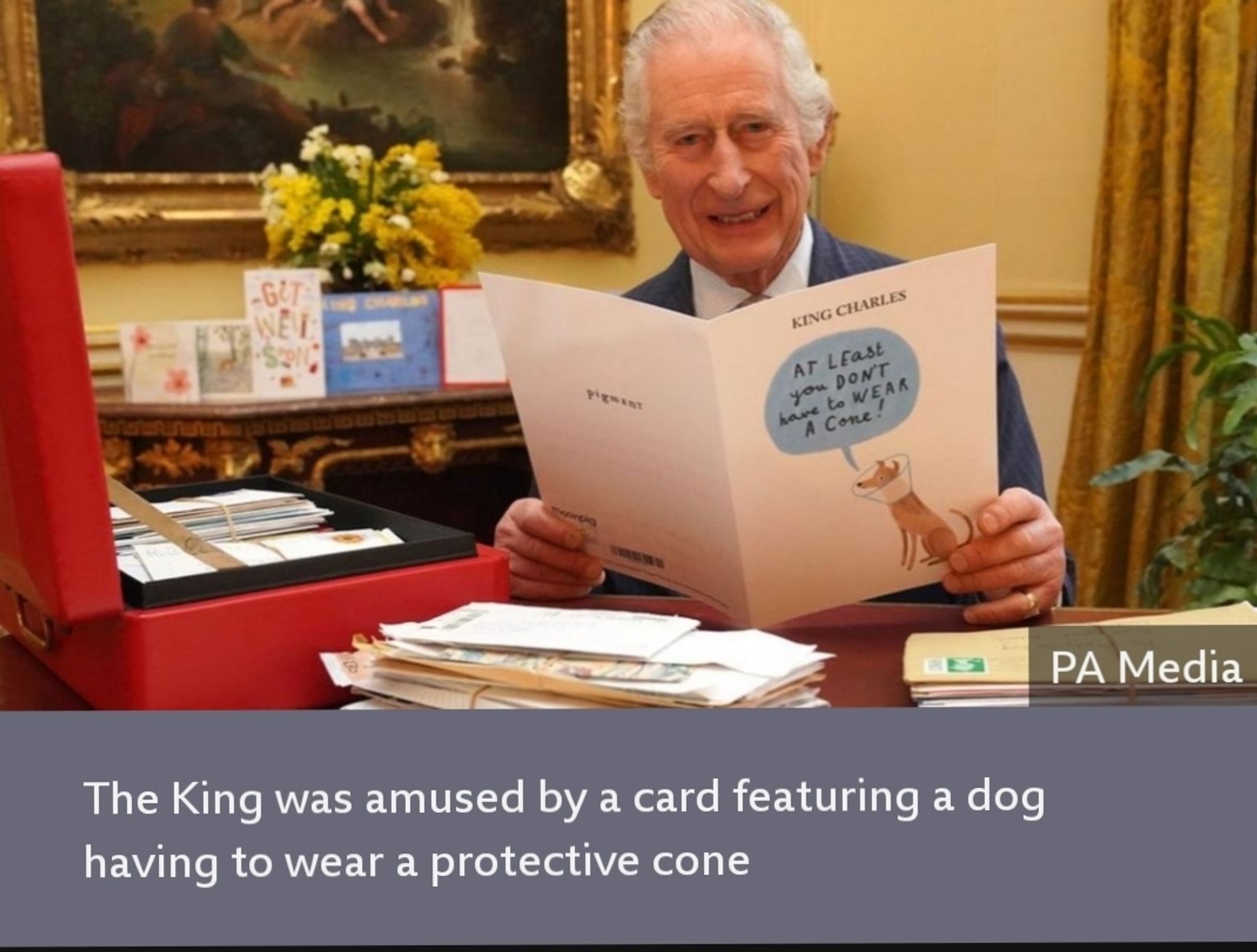 A screenshot from a BBC article, where a picture of the king reading a get well card is captioned "The king was amused by a card featuring a dog having to wear a protective cone"