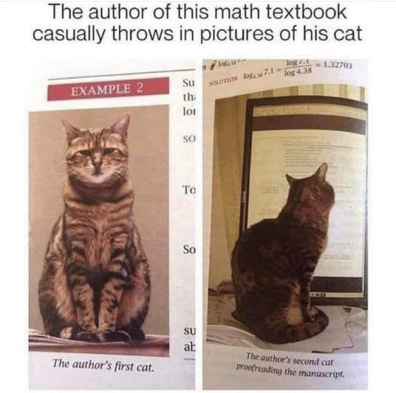 Caption ‘the author of this math textbook casually throws in pictures of his cat’
Two pictures of tabby cats. Caption on the first ‘the author’s first cat’. Caption on the second ‘the author’s second cat proofreading the manuscript’