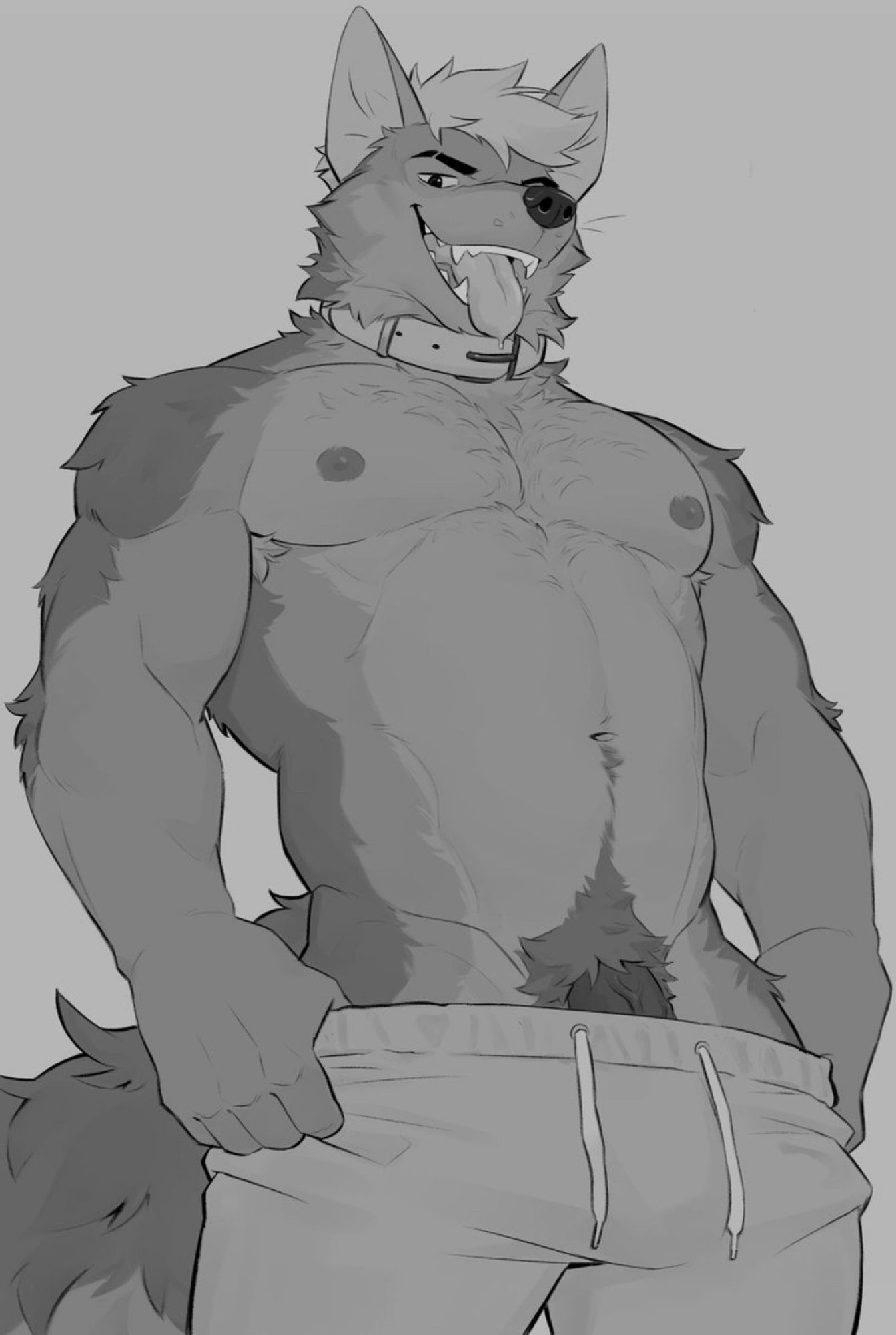 A black & white shaded furry illustration of an anthro coyote, Ferik. Shirtless, he looks at the viewer with a rowdy expression and his tongue out as he takes off his pants. The beginning of his boner is just slightly exposed.