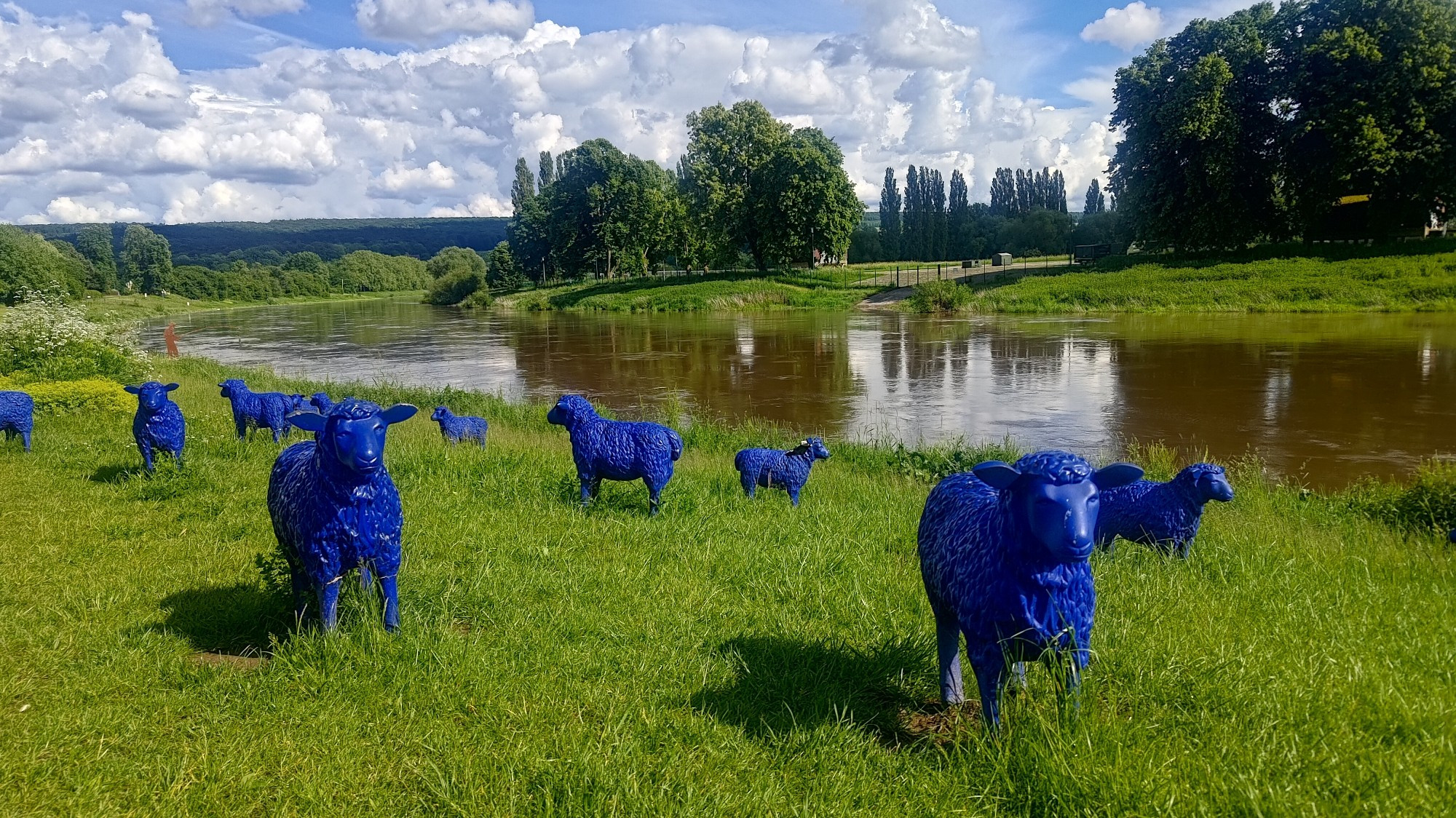 Blaue Schäfchen am Weserufer