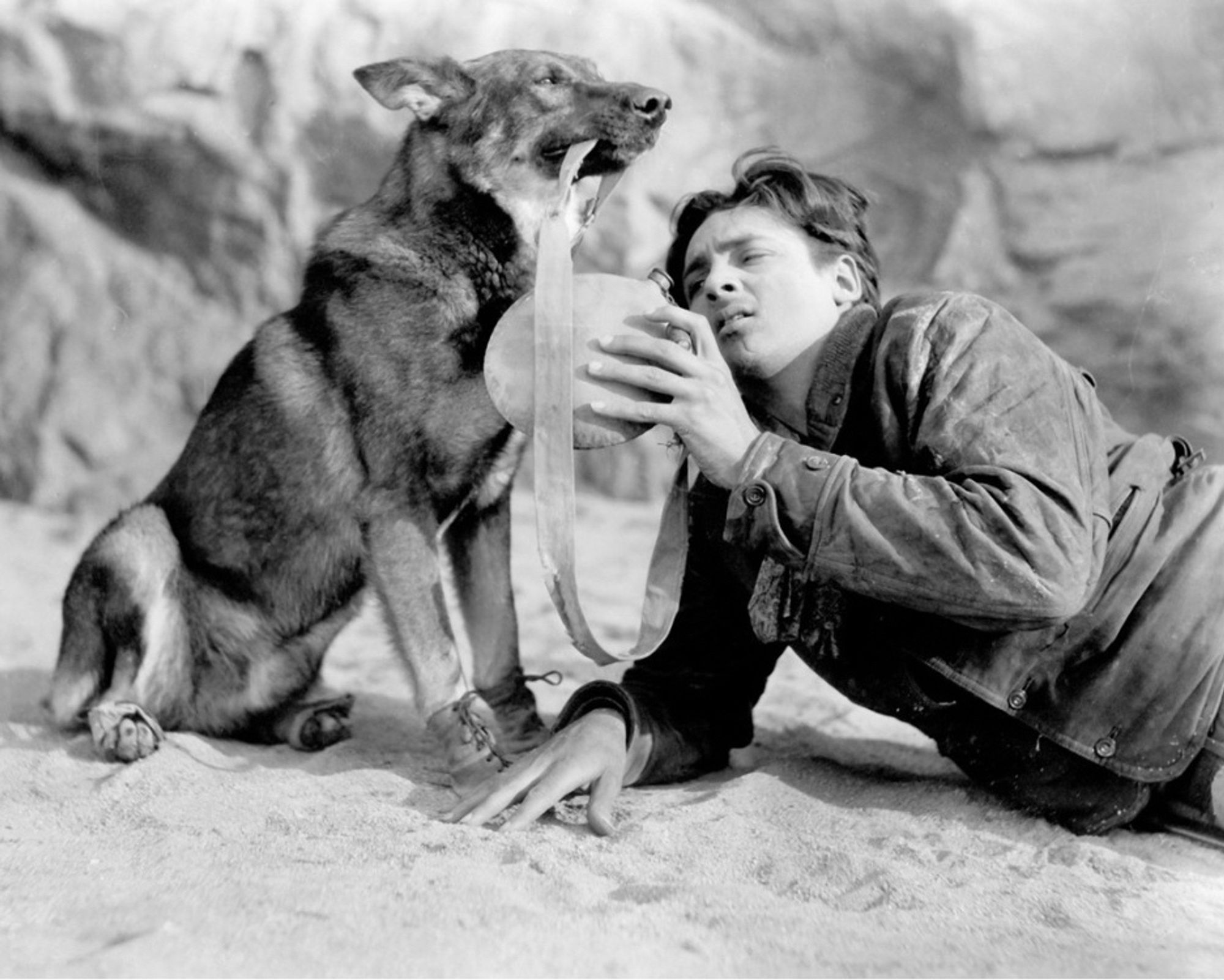 Lobo (Rin-Tin-Tin), a German Shepard cast as a wolf, brings a canteen to injured ranger Dave (Charles Farrell)