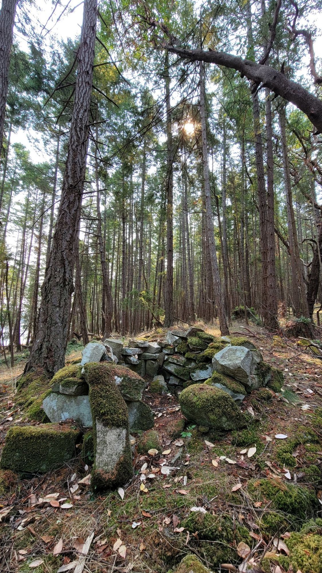 A semi-rectangular gun fort built of stacked rocks, sitting in a forest