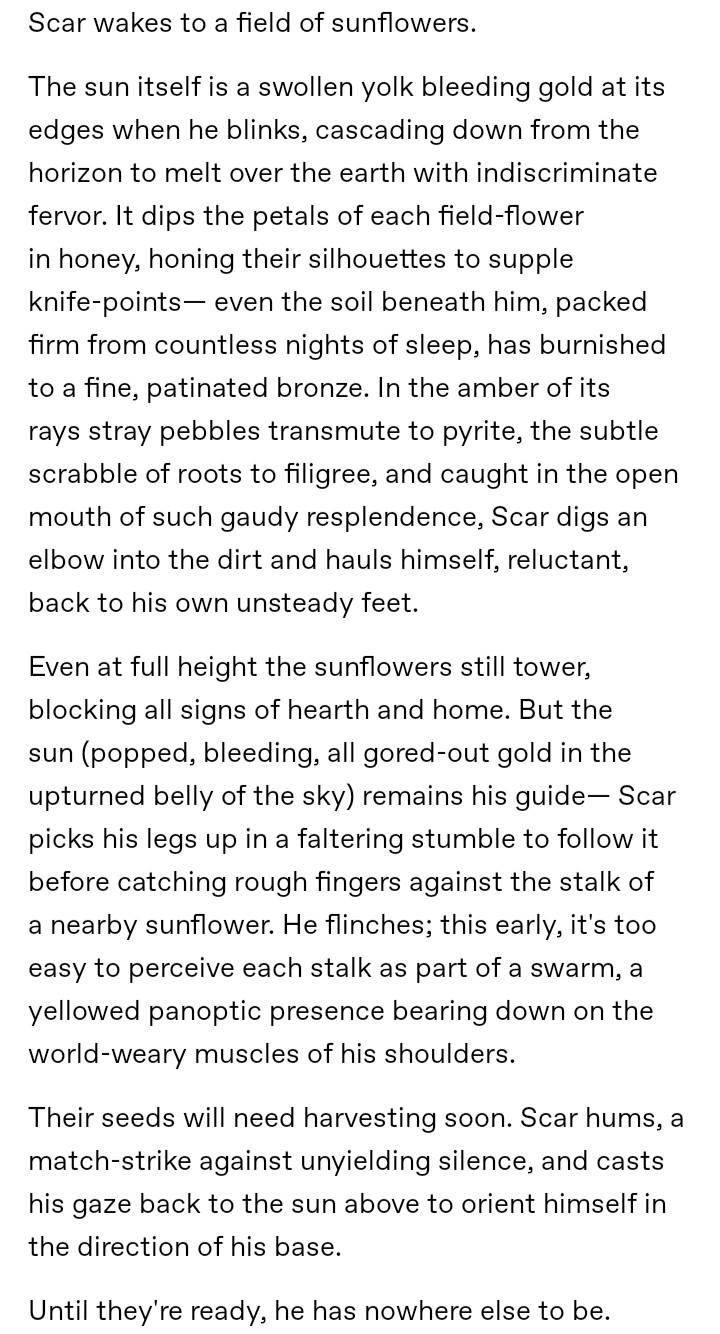 ID: a screenshot of a tumblr text post and fic preview. The post reads: "Scar wakes to a field of sunflowers.
The sun itself is a swollen yolk bleeding gold at its edges when he blinks, cascading down from the horizon to melt over the earth with indiscriminate fervor. It dips the petals of each field-flower in honey, honing their silhouettes to supple knife-points— even the soil beneath him, packed firm from countless nights of sleep, has burnished to a fine, patinated bronze. In the amber of its rays stray pebbles transmute to pyrite, the subtle scrabble of roots to filigree, and caught in the open mouth of such gaudy resplendence, Scar digs an elbow into the dirt and hauls himself, reluctant, back to his own unsteady feet.
Even at full height the sunflowers still tower, blocking all signs of hearth and home. But the sun (popped, bleeding, all gored-out gold in the upturned belly of the sky) remains his guide— Scar picks his legs up in a faltering stumble to follow it before catching rough fingers against the stalk of a nearby sunflower. He flinches; this early, it's too easy to perceive each stalk as part of a swarm, a yellowed panoptic presence bearing down on the world-weary muscles of his shoulders.
Their seeds will need harvesting soon. Scar hums, a match-strike against unyielding silence, and casts his gaze back to the sun above to orient himself in the direction of his base.
Until they're ready, he has nowhere else to be." End ID.