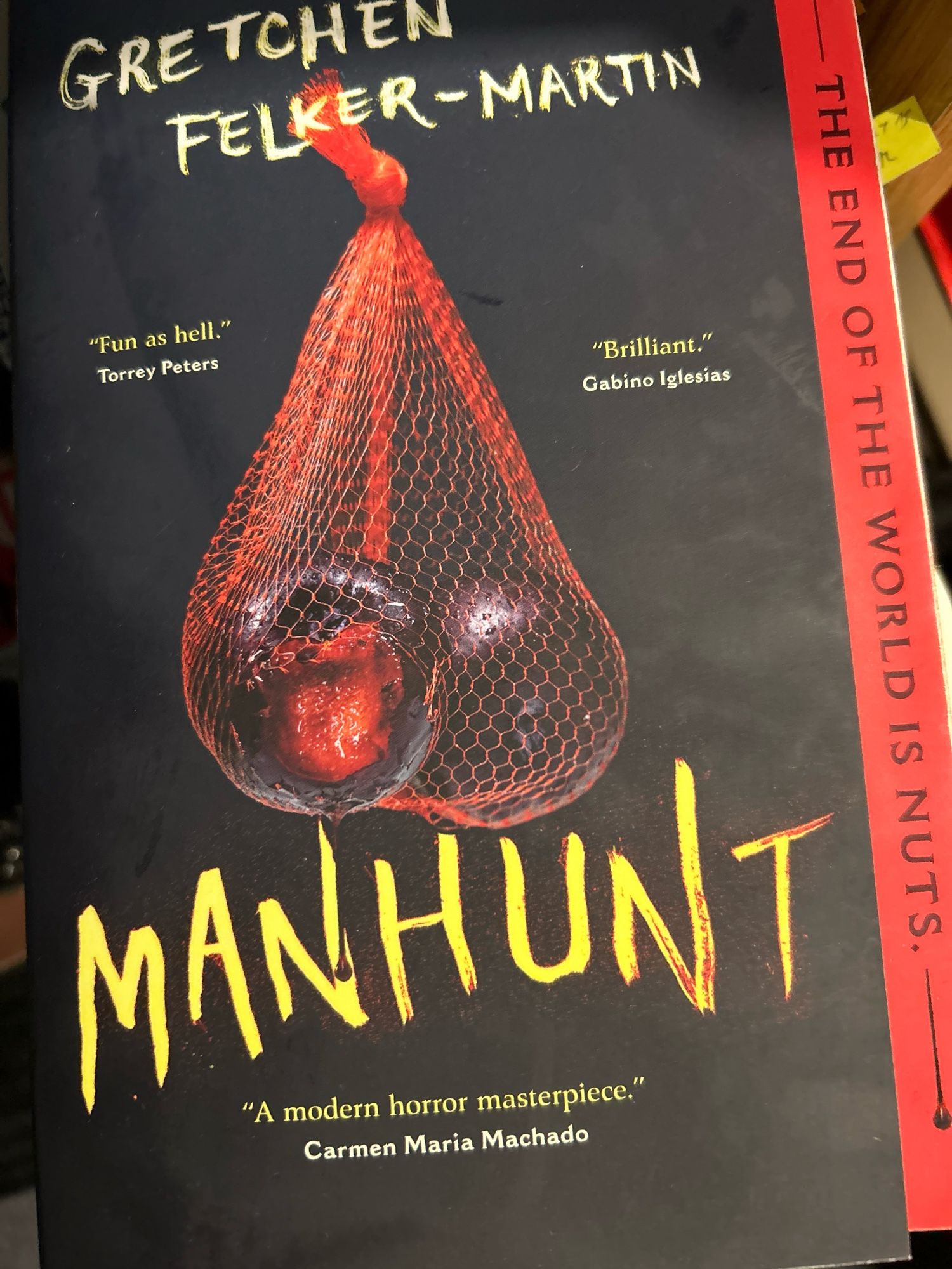 Gretchen Felker-Martin’s novel MANHUNT, depicting a pair of plums in a netting sack, mimicking a scrotum. One of the plums has had a bite taken out of it.