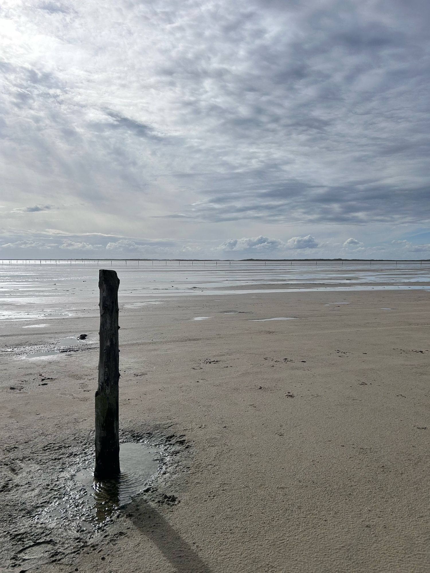 Foto eines Holzpfeilers, der im Sandstrand steckt. Im Hintergrund sieht man das Wattenmeer unter einem von Wolken überzogenen Himmel.