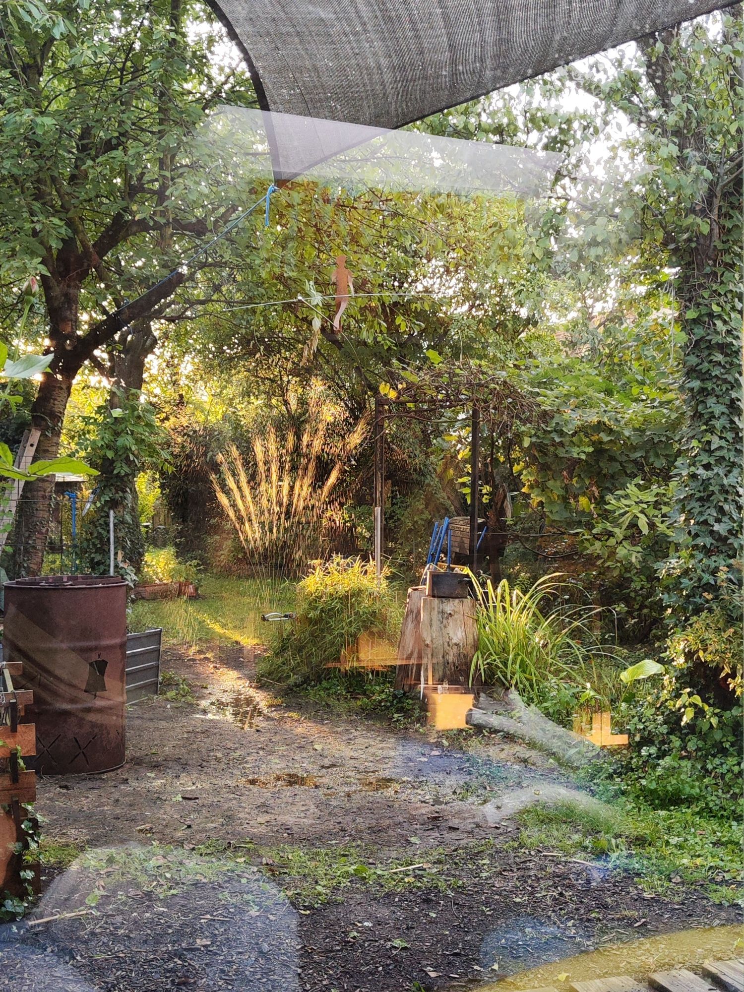 Zu sehen ist mein Ausblick aus dem Wohnzimmer in den Garten. Links steht ein Feuerkorb, alles ist grün und zugewuchert. Im Vordergrund schwebt ein #Seiltänzer Kunstwerk von meinem Vater.