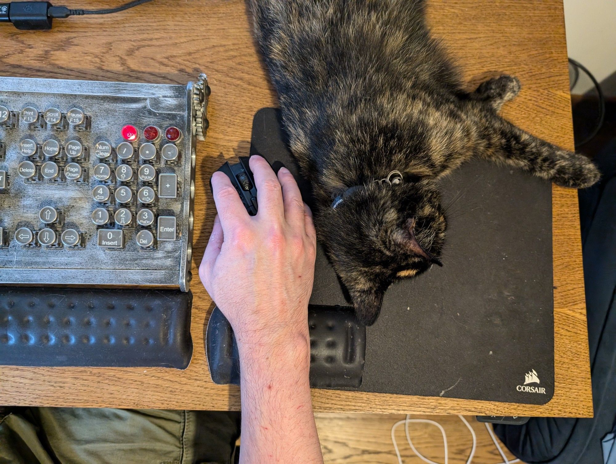 Top down view of my desk, woth Tortie using up nearly all the mousemat to snooze on. I'm trying to work using the edge of it.