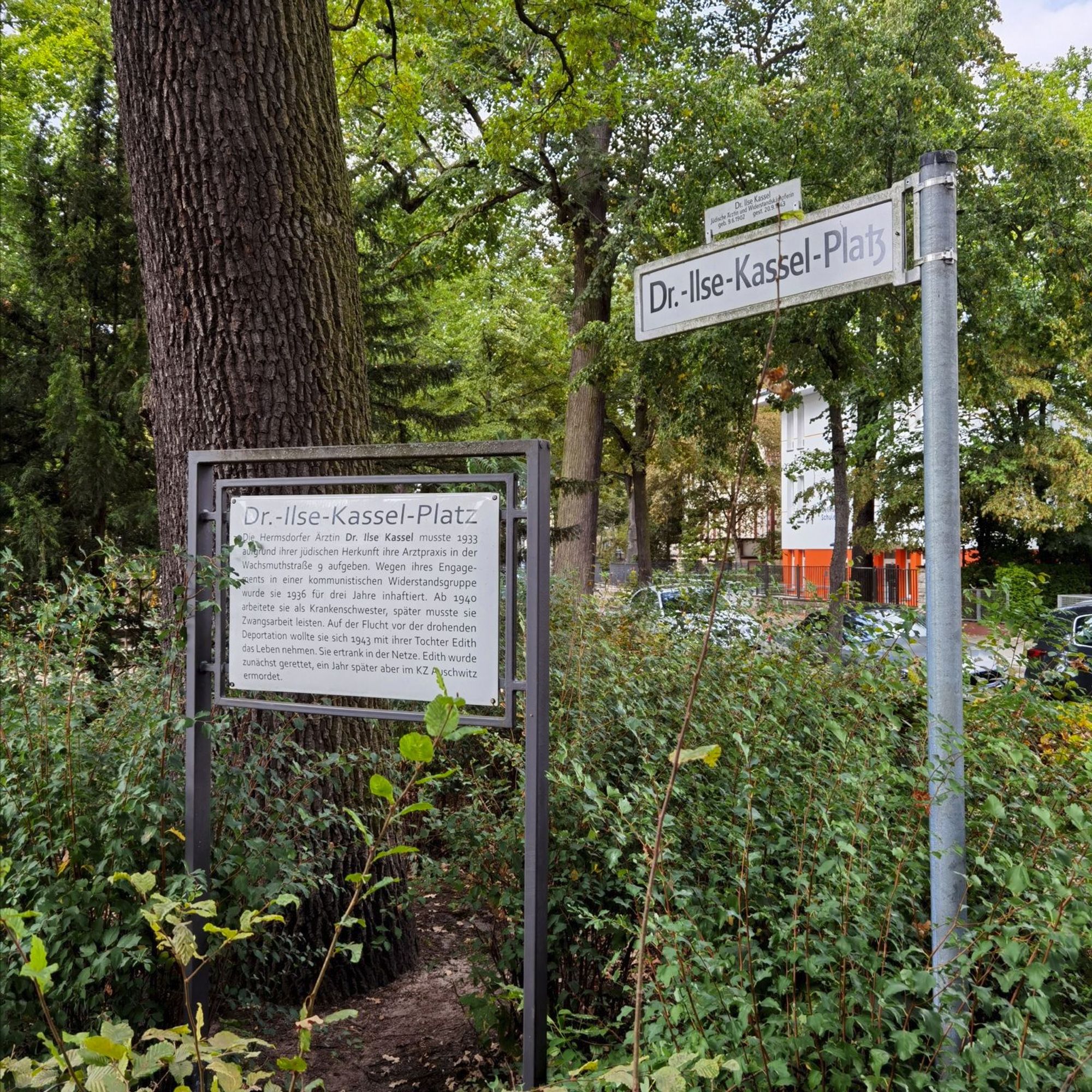 Das Foto zeigt einen Blick auf den Dr.-Ilse-Kassel-Platz in Berlin-Hermsdorf. Der Blick auf dem Bild führt zu einer Gedenktafel mit biographischen Informationen über Dr. Ilse Kassel und ihre Tochter Edith (in der linken Bildhälfte) sowie zum entsprechenden Straßenschild am rechten Bildrand. Der Bildhintergrund wird von einem Baumstamm und sehr zahlreichen, üppig grünenden Pflanzen bestimmt, während in der rechten Bildhälfte im Hintergrund mehrere parkende Autos zu erahnen sind.