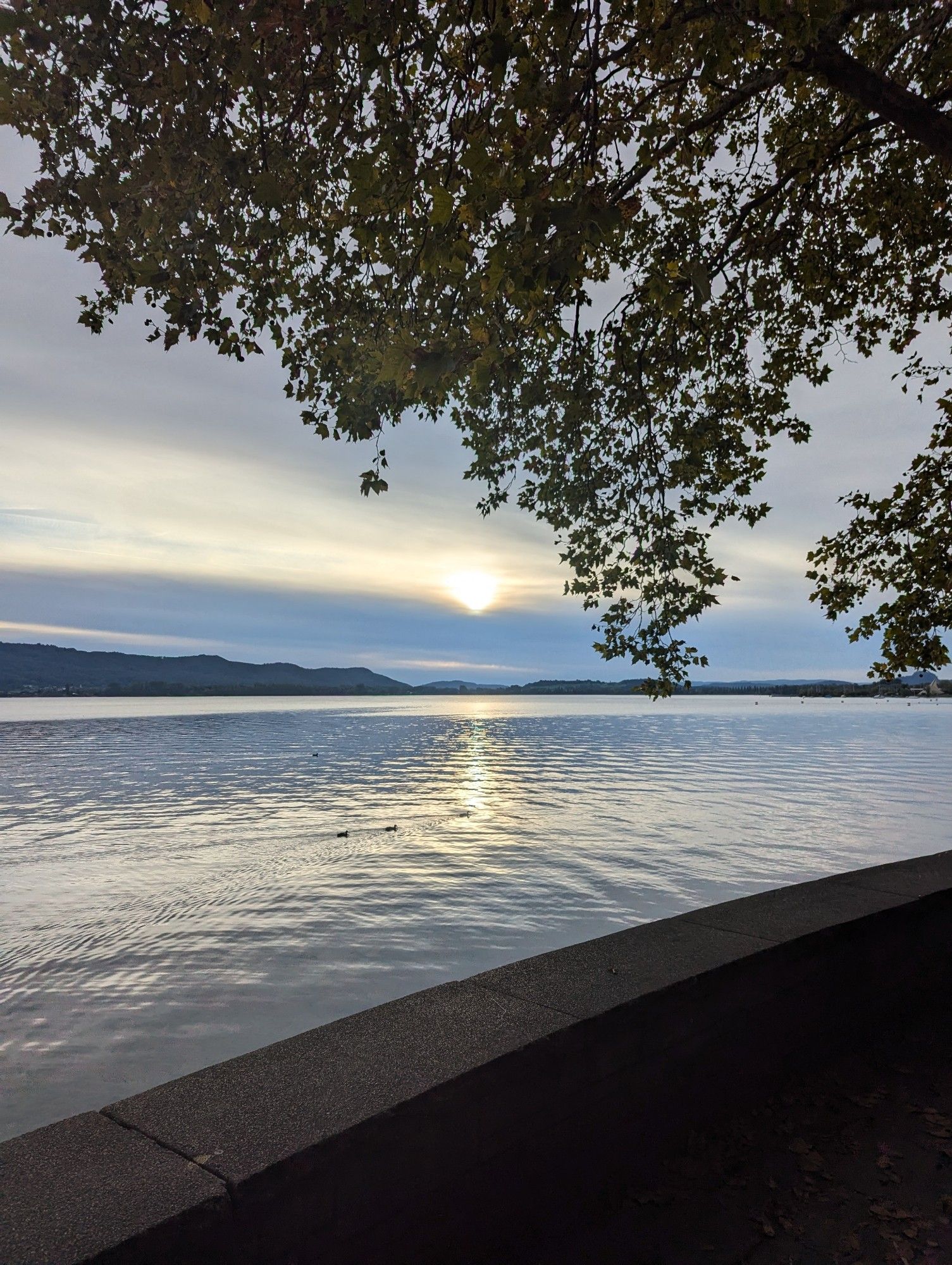 Sonnenuntergang am Bodensee