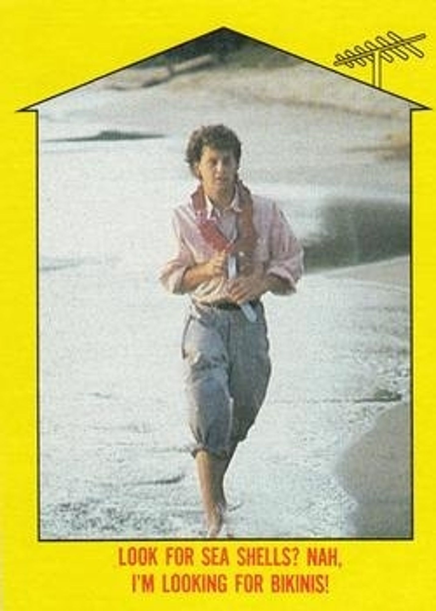 Card front: still of Kirk Cameron with a lei around his neck walking on a beach with the caption "Look for sea shells? Nah, I'm looking for bikinis!"