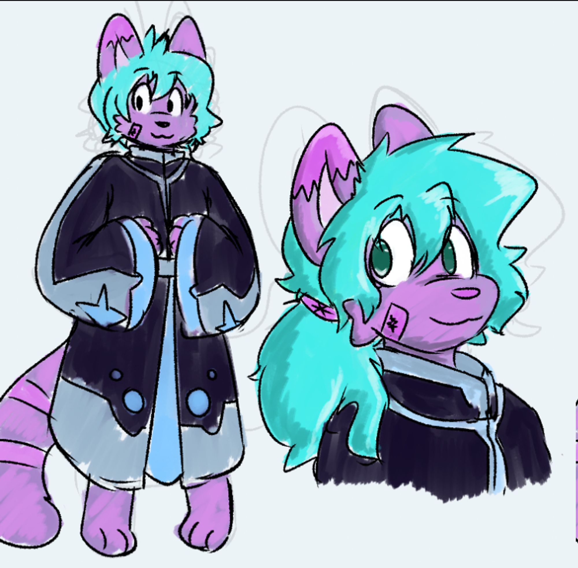 Meddy, wearing more wizard/mage-type robes.