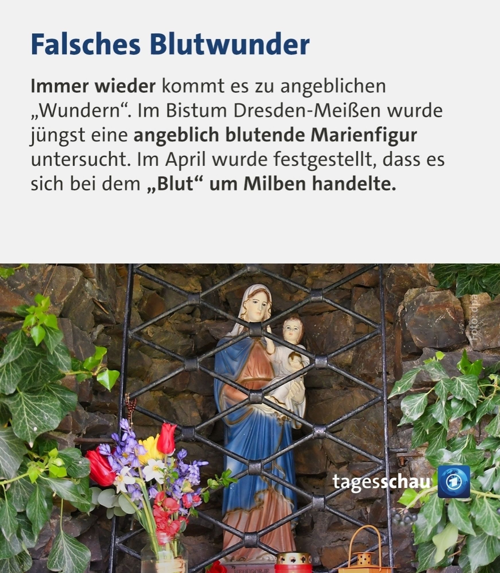 Falsches Blutwunder. Eine angeblich blutende Marienfigur wurde untersucht. Es handelte sich um Milben.