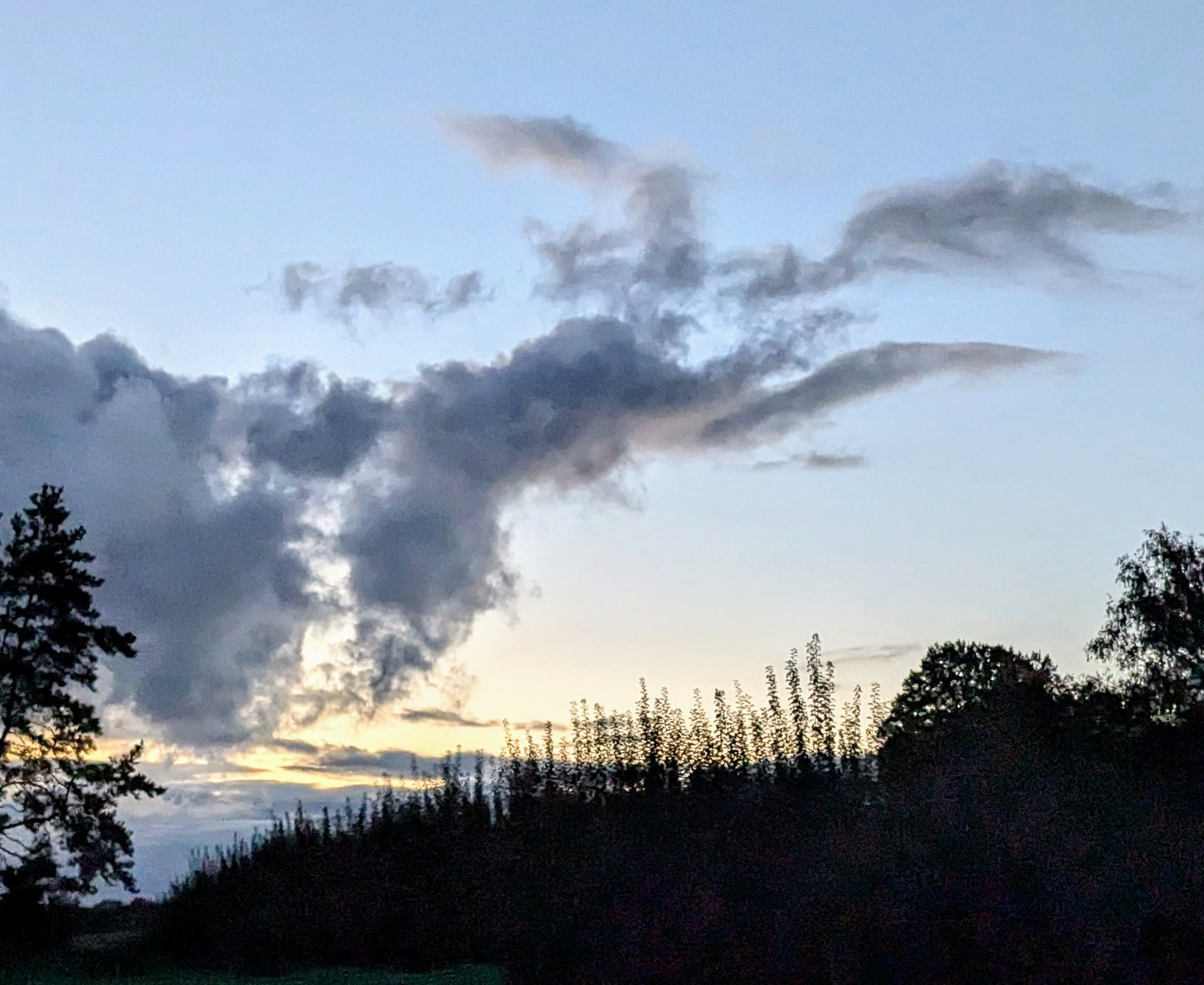 Wolke, die aussieht wie Hinterteil eines Fuchses.