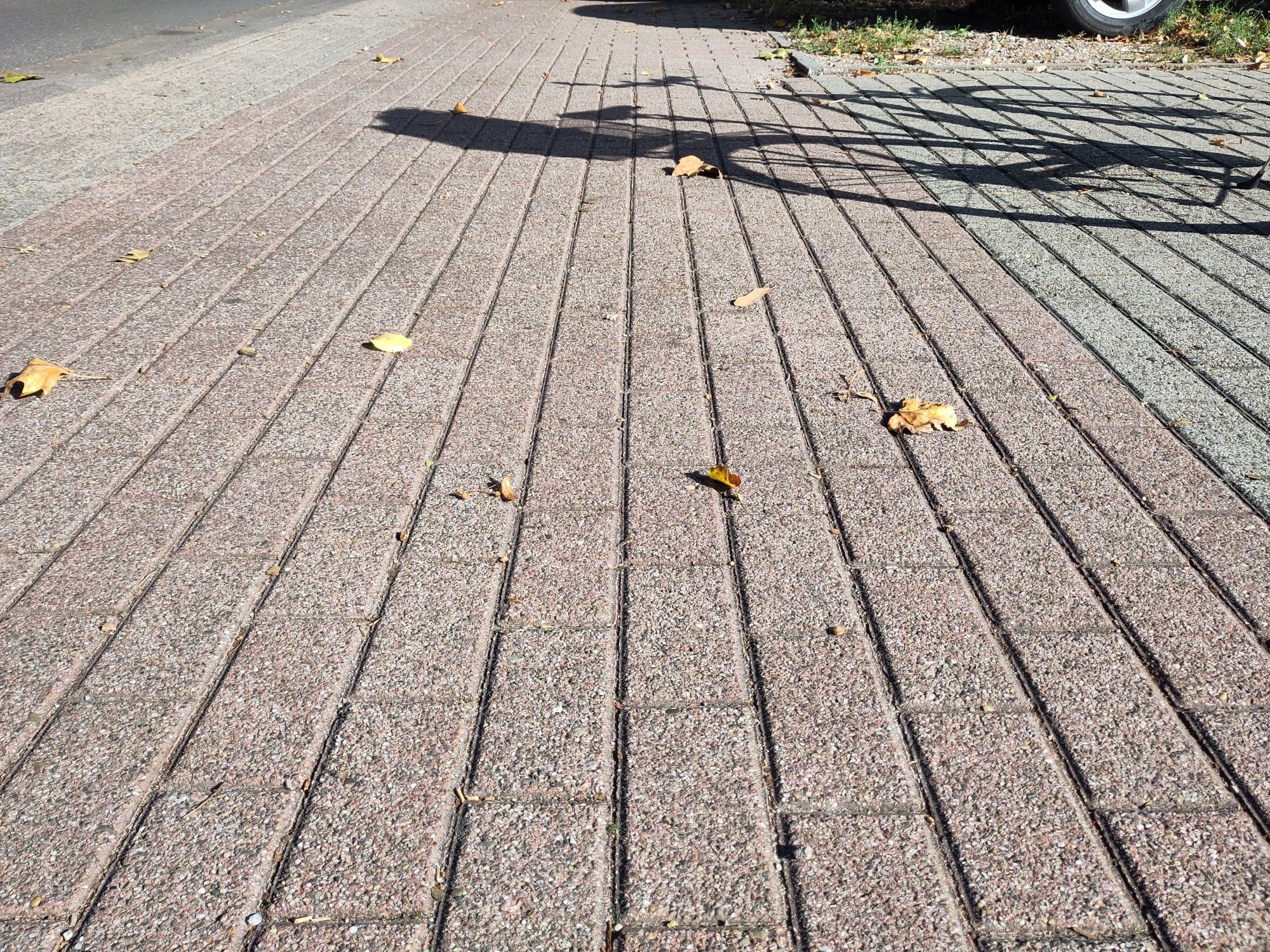 gepflasterter Radweg. Die Steine sind in Längsrichtung verlegt was das Radfahren noch unkomfortabler macht.