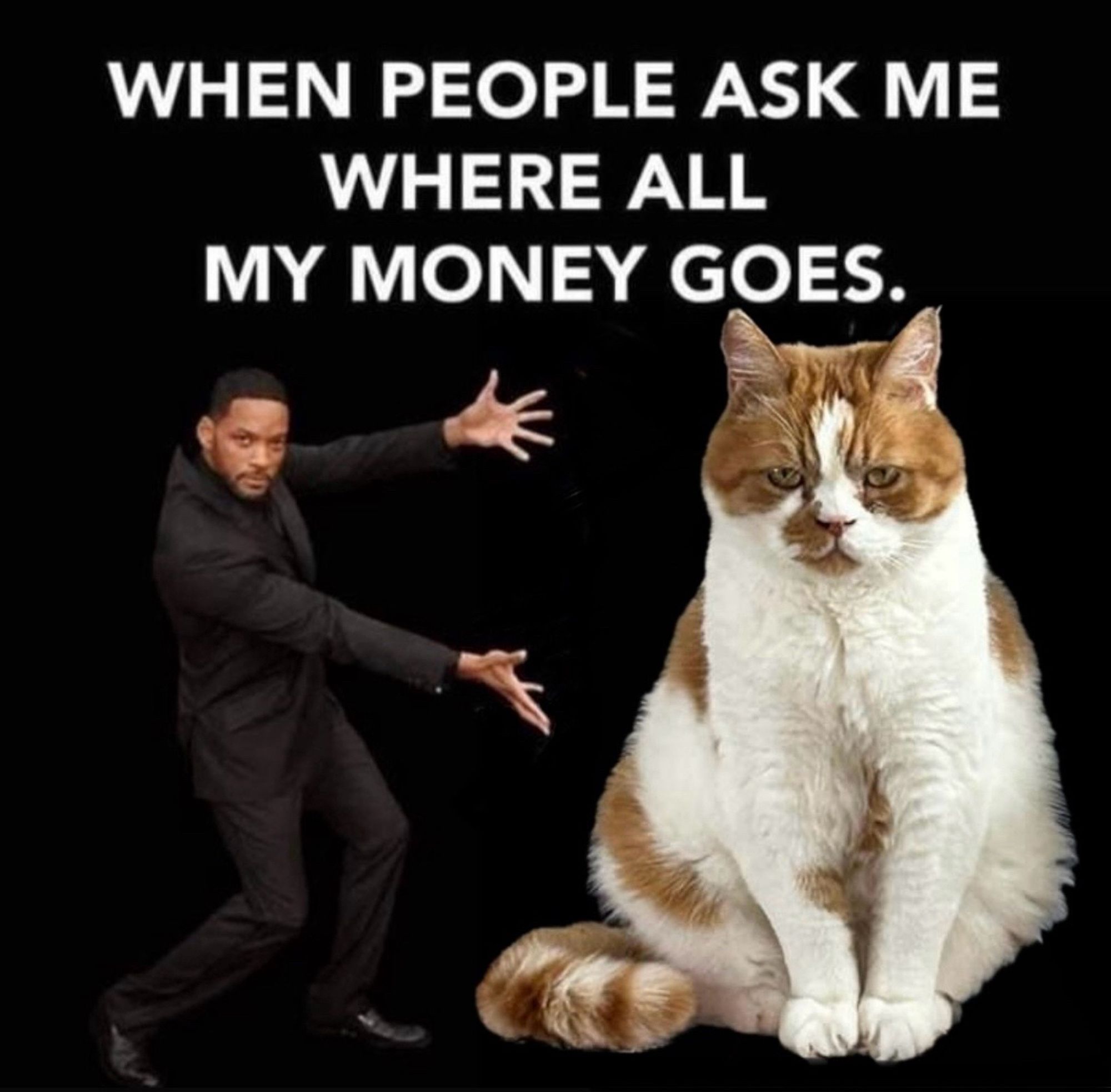 Will Smith meme ‘When people ask me where all my money goes.’ Met Joris.