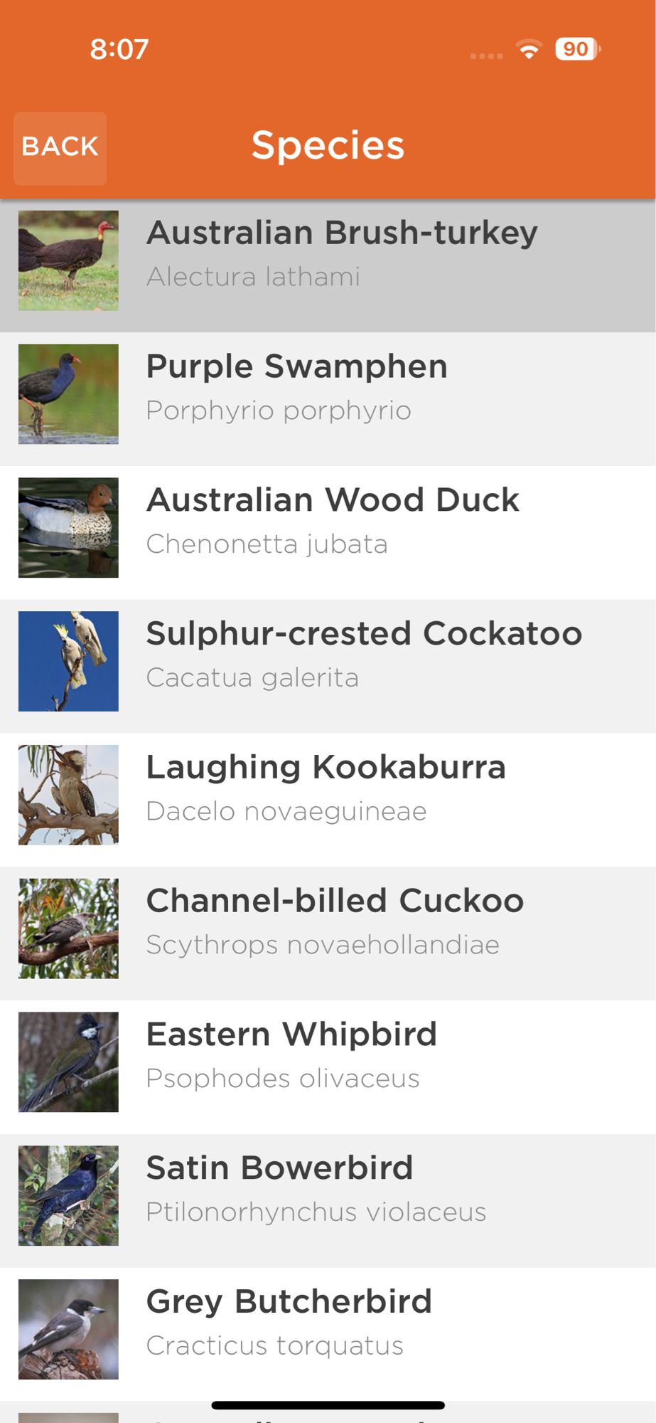 A list of Australian birds.