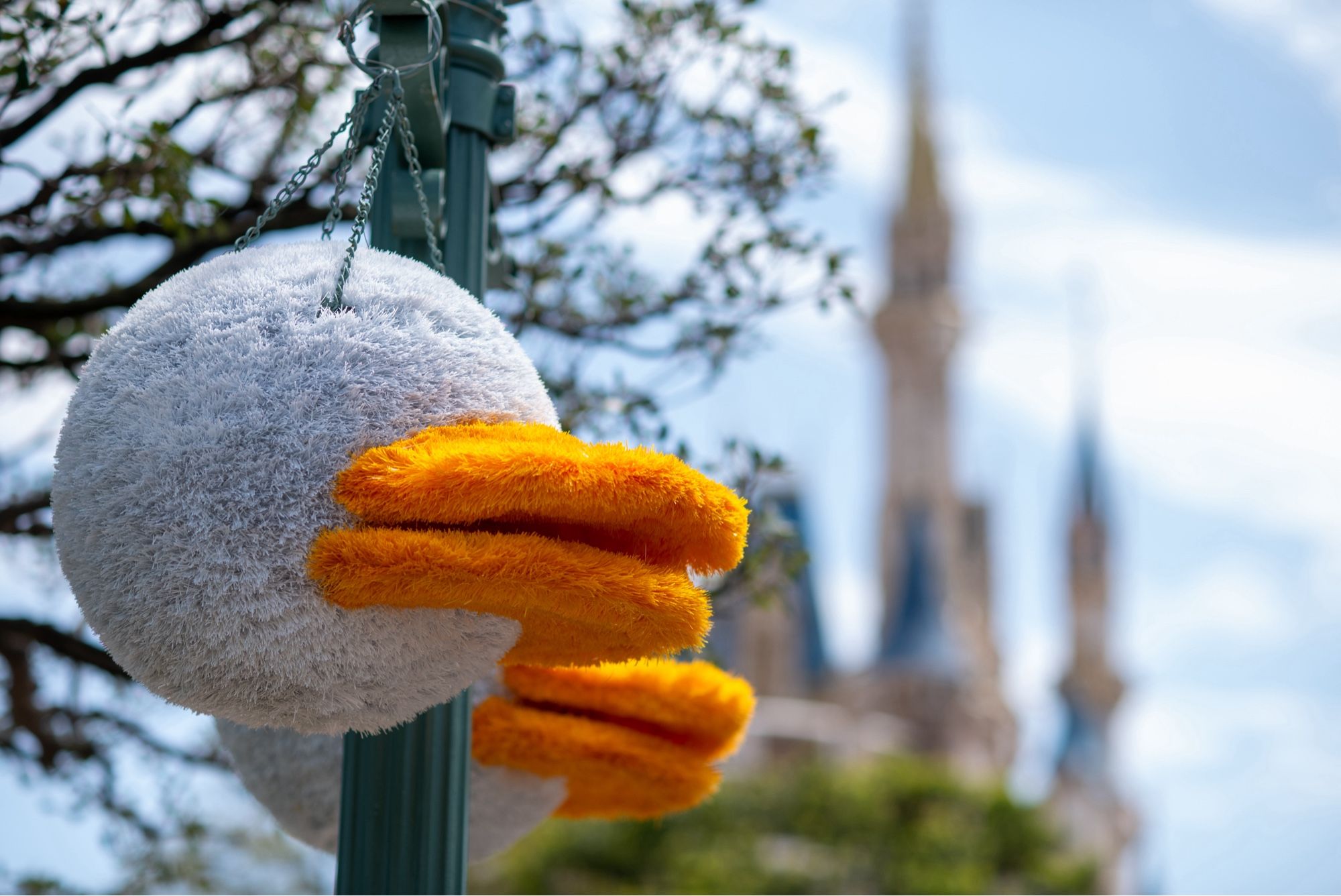 東京ディズニーランドのキャッスルフォアコートの照明デコレーションとシンデレラ城。
D750 * DC-Nikkor 105mm f2.0使用。