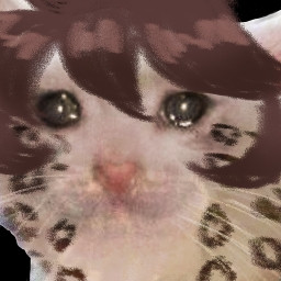 Crying cat meme drawn over with leopard spots and brown bangs. 