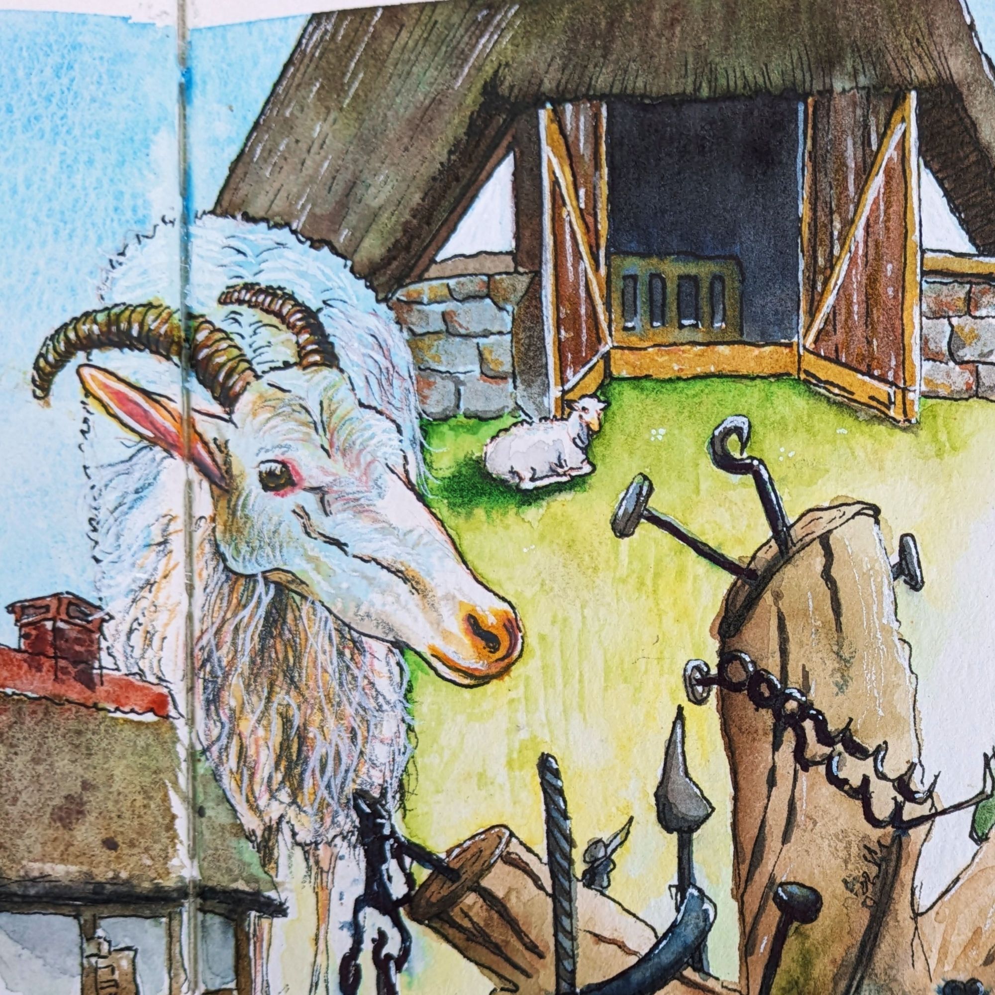 outdoor farming museum: sheep detail in ink, watercolor and colored pencil