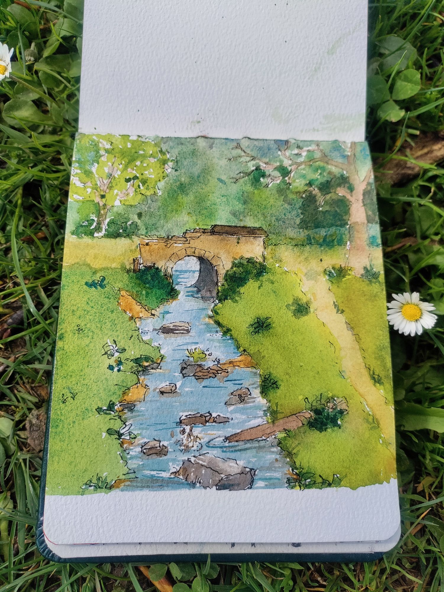 Watercolor and ink of a little creek and bridge in spring, painted in a sketchbook