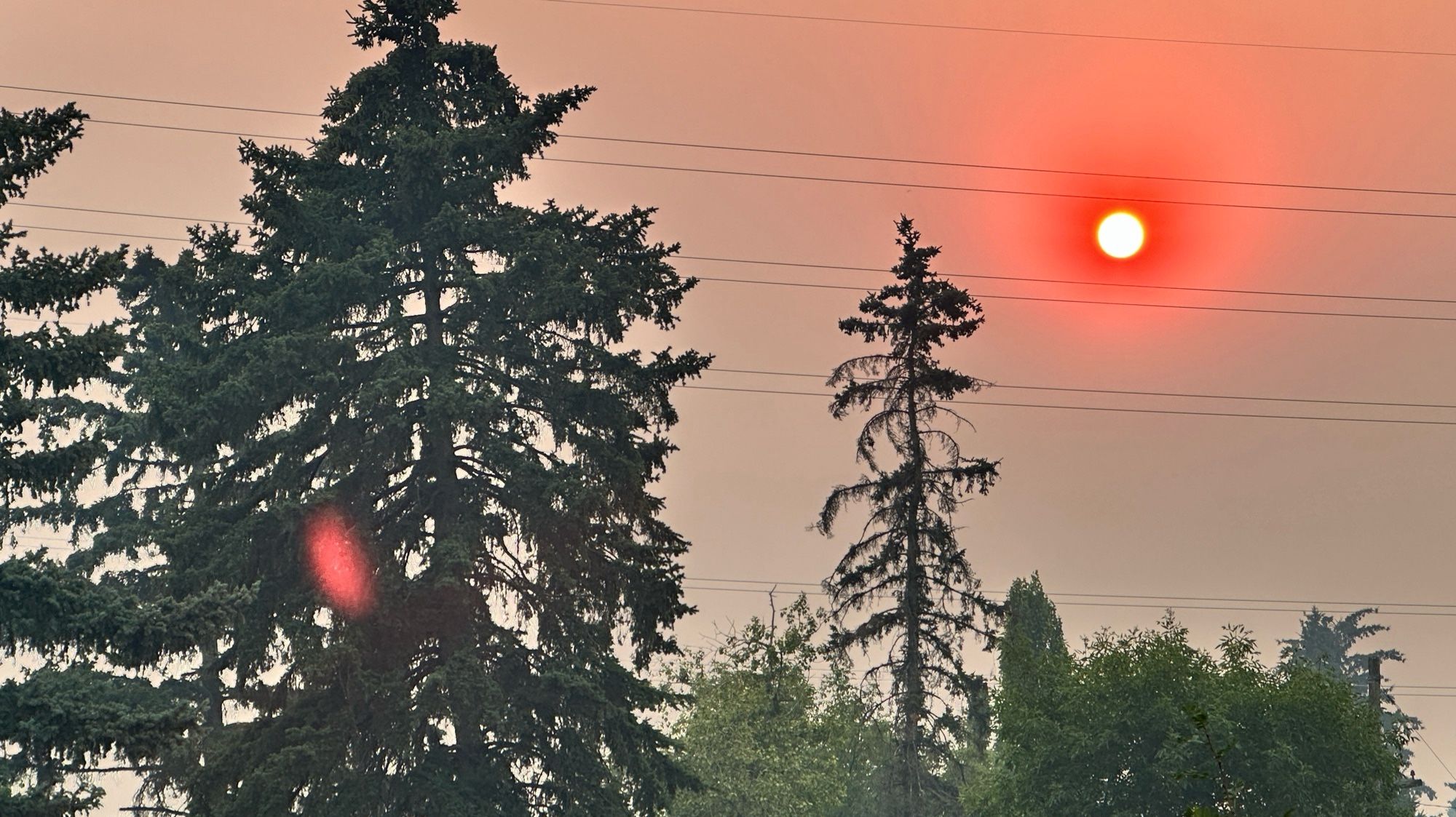 A photograph of a deep orange sun obscured by thick smoke with powerlines and trees in the foreground