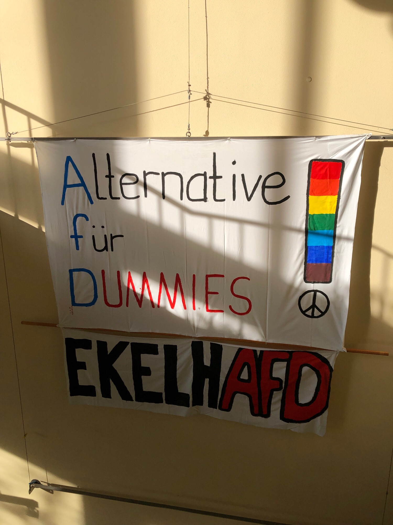 Großes Plakat in Kirchengemeinde. Alternative für Dummies, Ekelhafd.