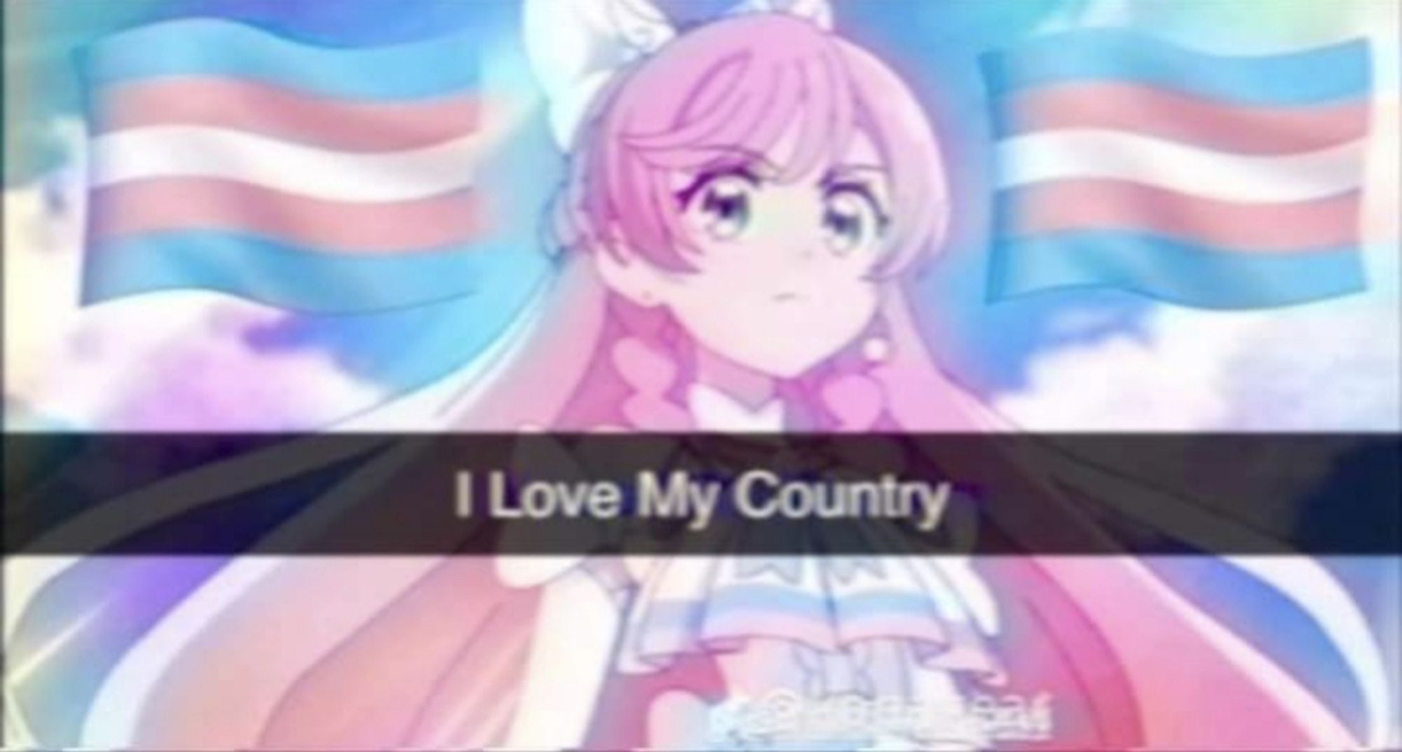 An image of an anime girl (idk which one) infront of 2 trans flags with the caption "I love my country" also with an old filter for some reason